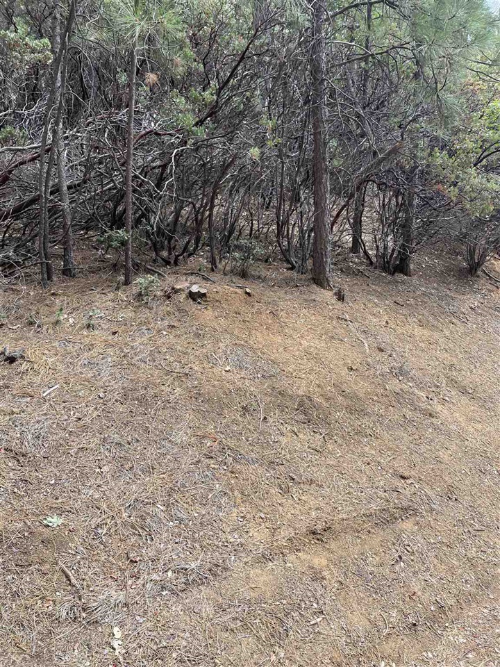 Detail Gallery Image 7 of 19 For 0001 Stable, Sonora,  CA 95370 - – Beds | – Baths