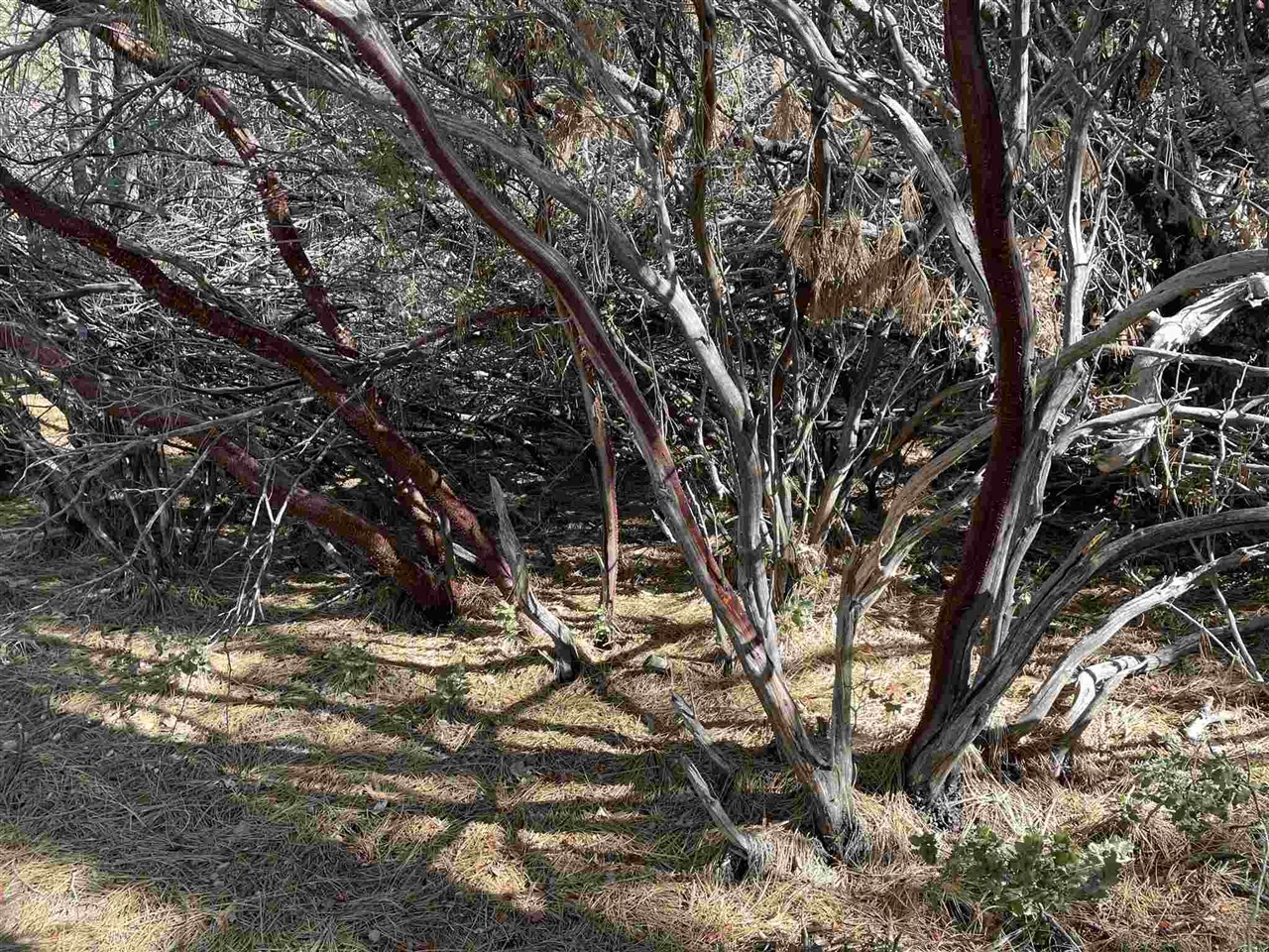 Detail Gallery Image 8 of 19 For 0001 Stable, Sonora,  CA 95370 - – Beds | – Baths