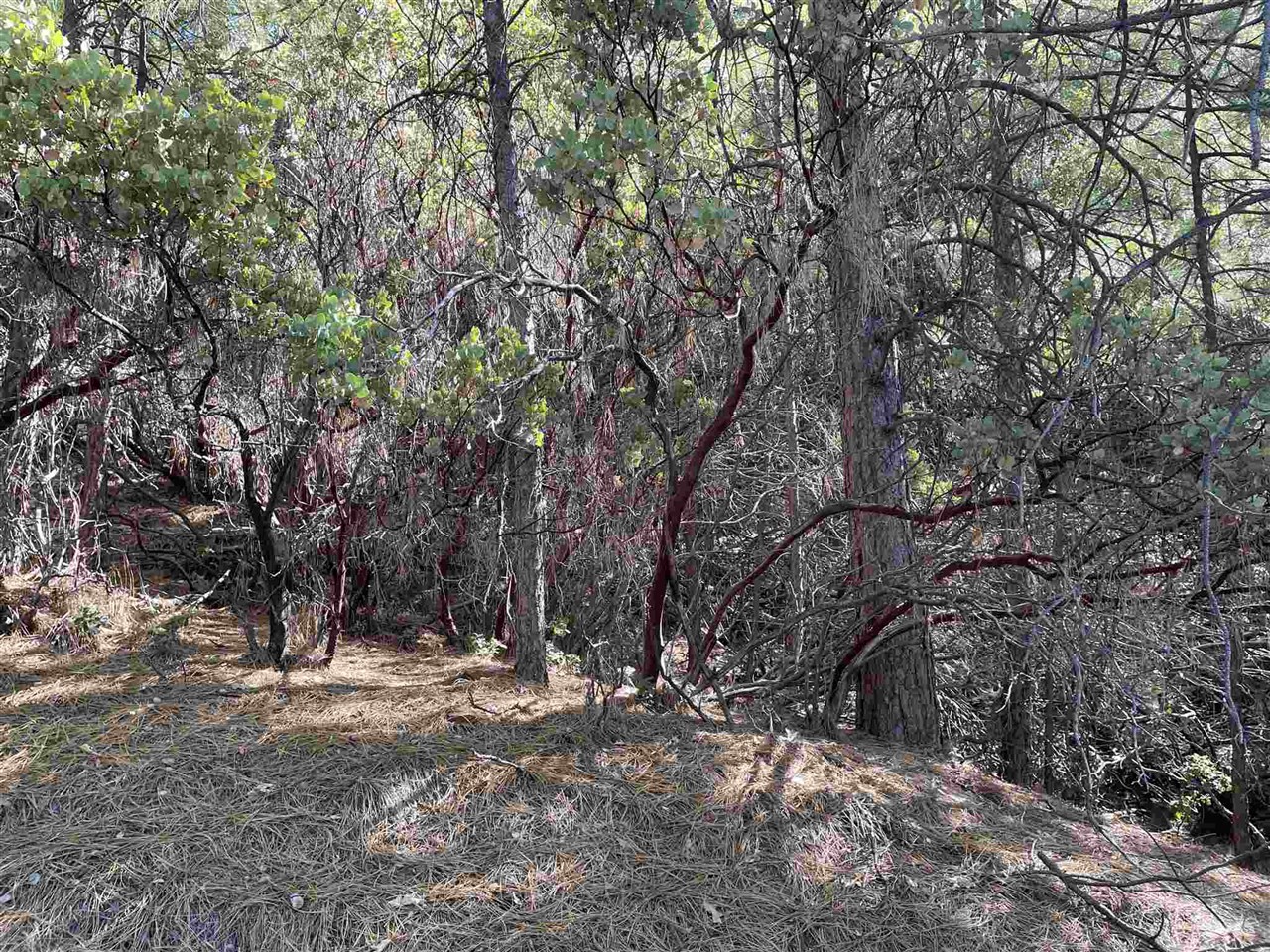 Detail Gallery Image 10 of 19 For 0001 Stable, Sonora,  CA 95370 - – Beds | – Baths