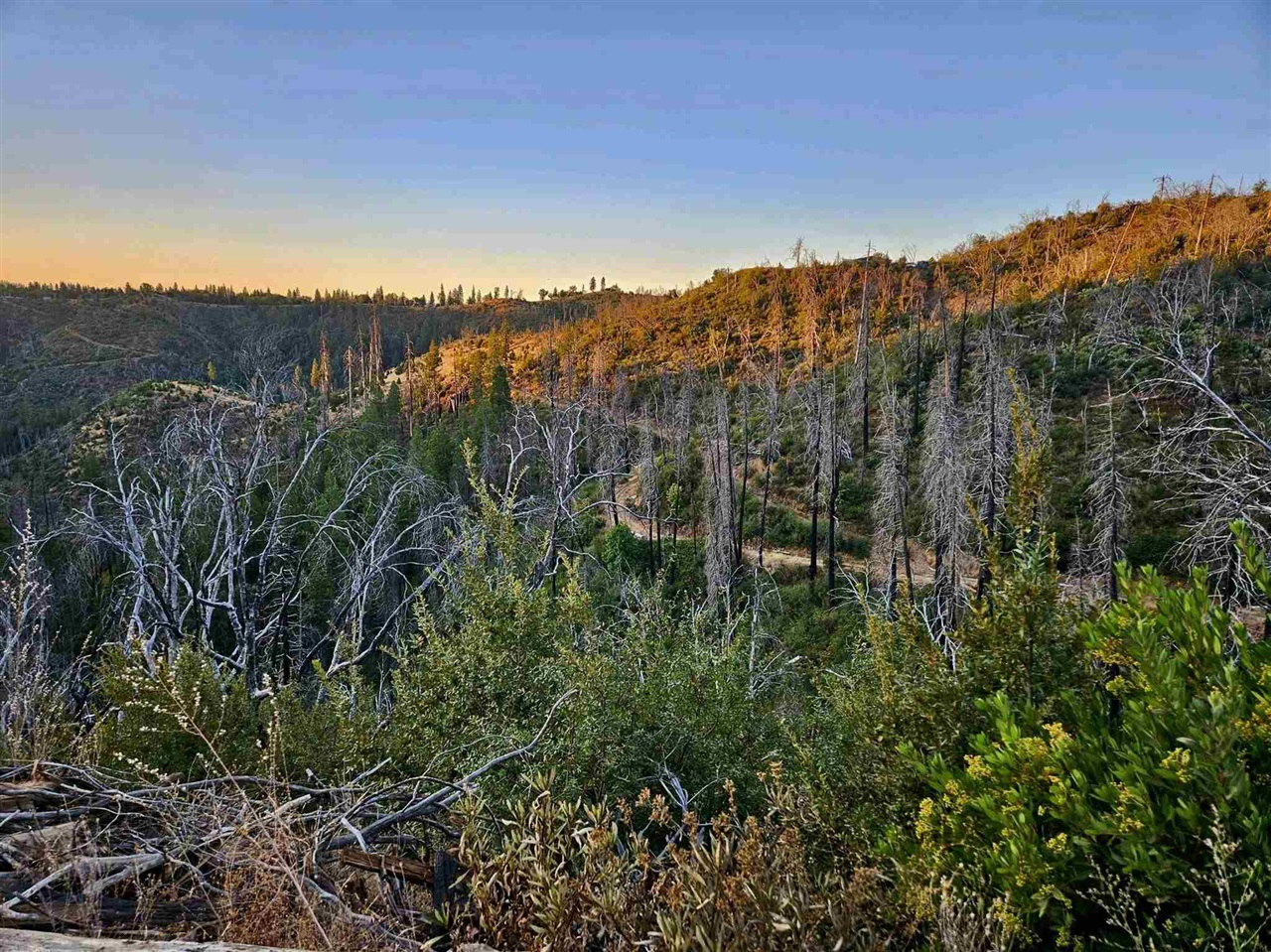 Detail Gallery Image 11 of 17 For 18796 Old Greek Mine Rd, –,  CA 95246 - – Beds | – Baths