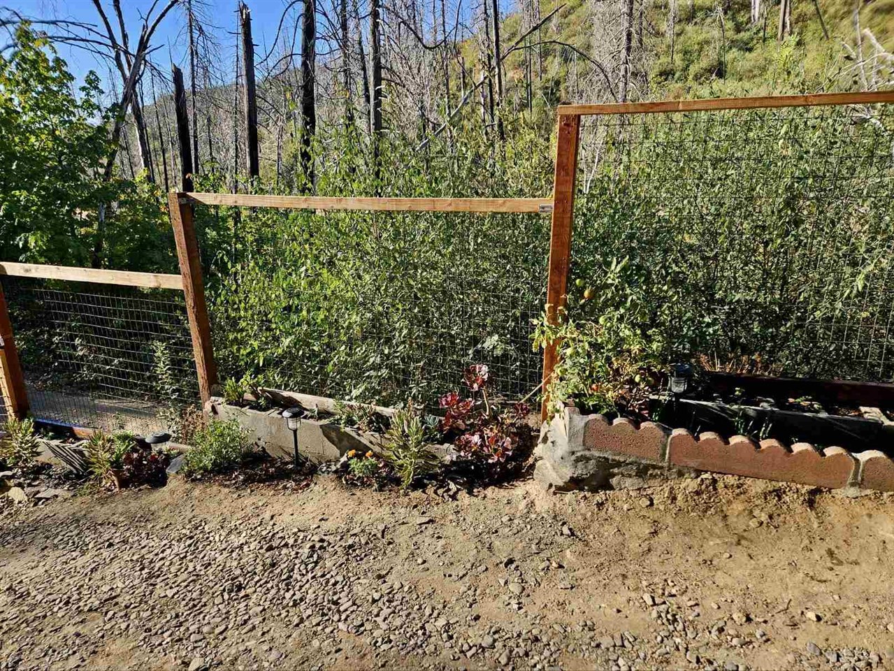 Detail Gallery Image 15 of 17 For 18796 Old Greek Mine Rd, –,  CA 95246 - – Beds | – Baths