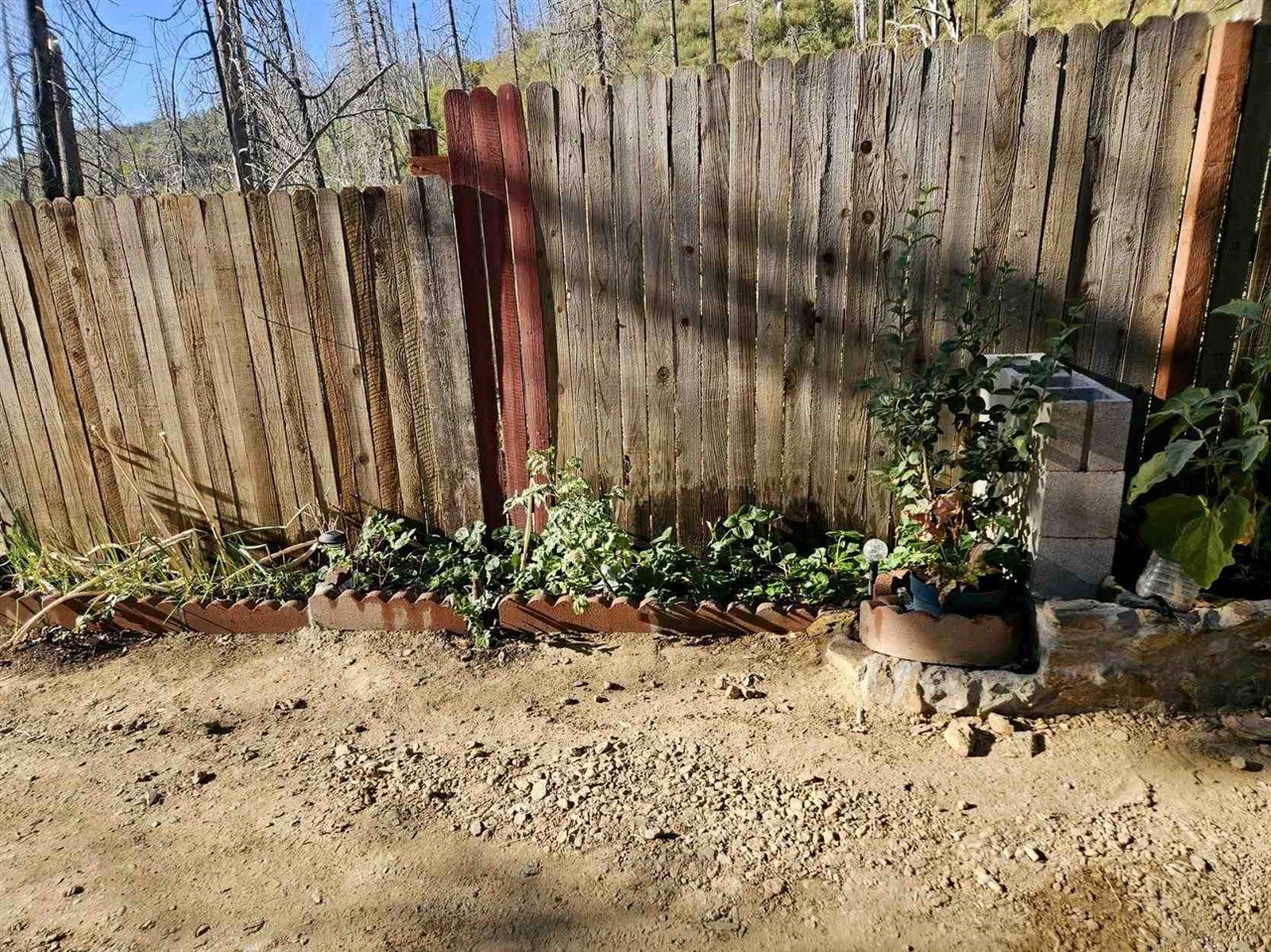 Detail Gallery Image 17 of 17 For 18796 Old Greek Mine Rd, –,  CA 95246 - – Beds | – Baths
