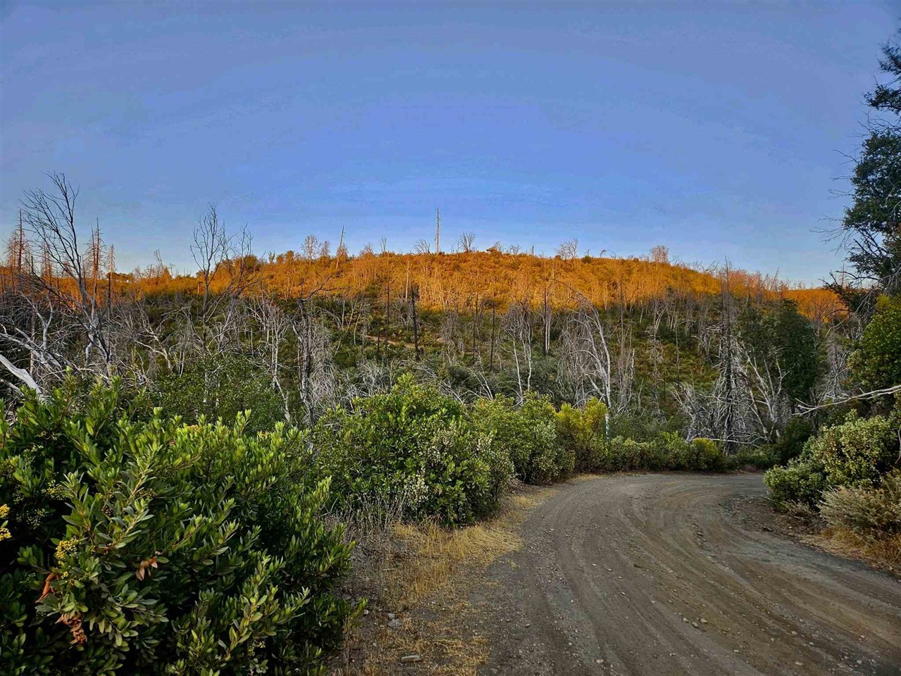 Detail Gallery Image 10 of 17 For 18796 Old Greek Mine Rd, –,  CA 95246 - – Beds | – Baths