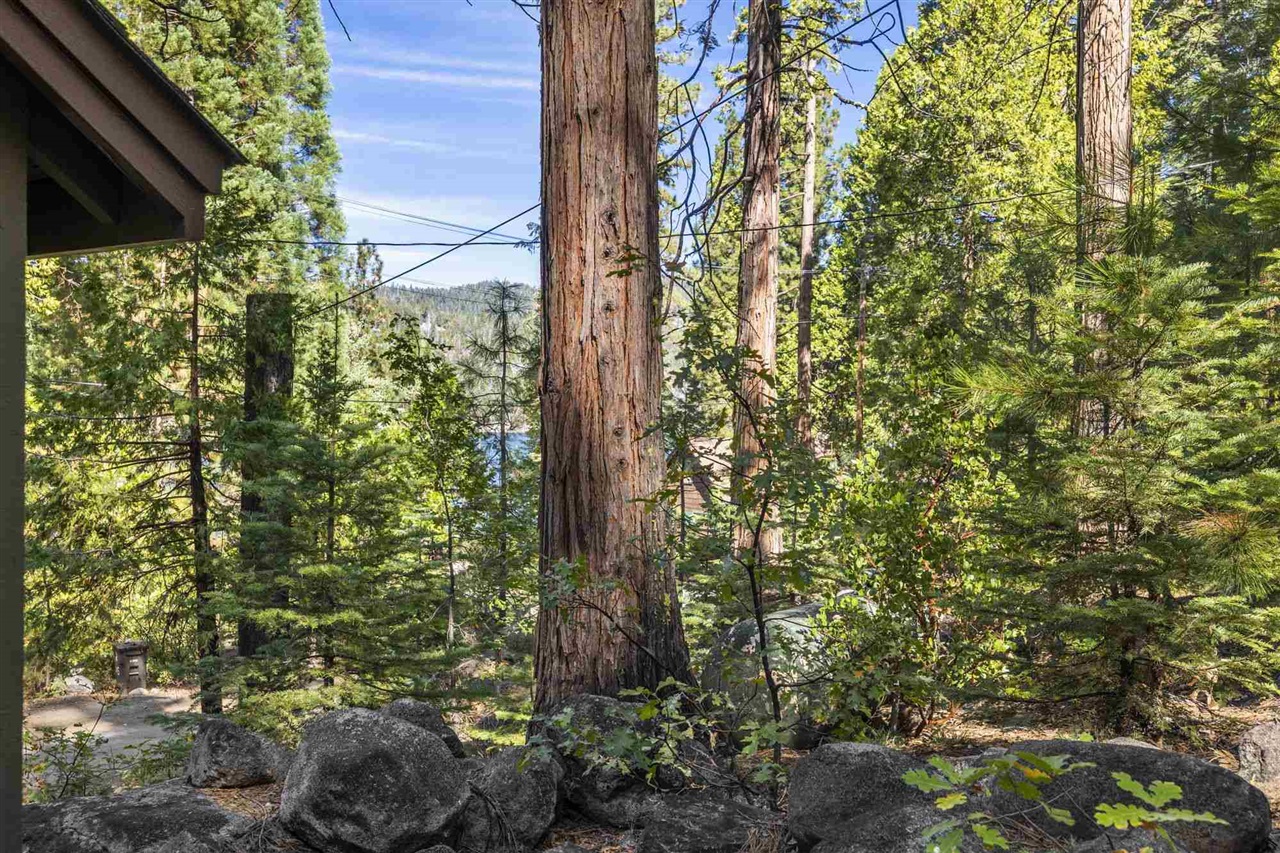 Detail Gallery Image 3 of 47 For 343 Lakeshore, Pinecrest,  CA 95364 - 2 Beds | 2 Baths
