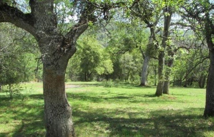 Detail Gallery Image 2 of 5 For 5314 Dogtown, Coulterville,  CA 95311 - 2 Beds | 2 Baths