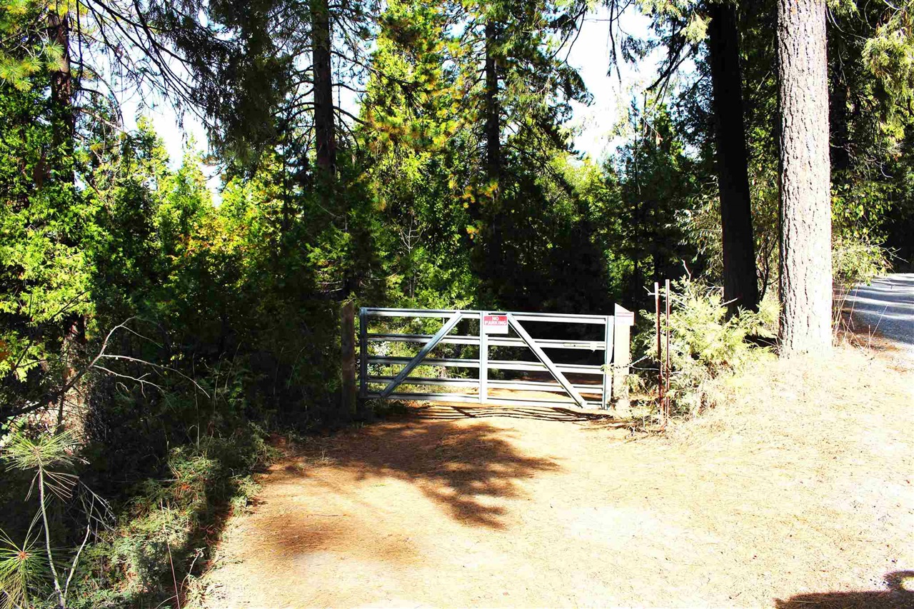 Detail Gallery Image 1 of 1 For 24455 South Fork, Twain Harte,  CA 95383 - – Beds | – Baths