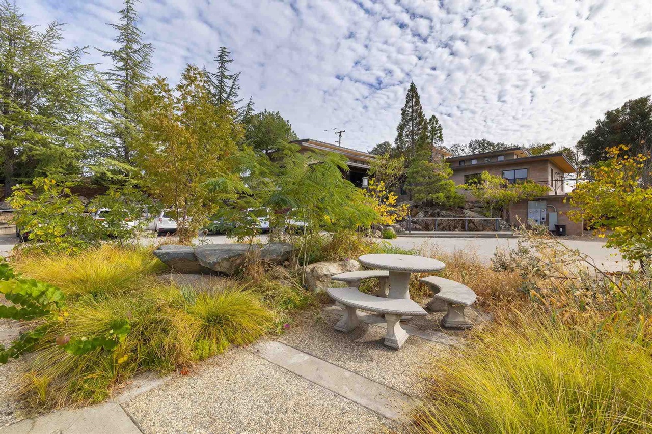 13951 Mono, Sonora, California 95370, ,Commercial Lease,For Rent,13951 Mono,20241654