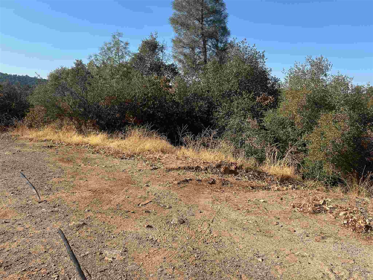 Detail Gallery Image 1 of 1 For 524 Morningstar, Sonora,  CA 95370 - – Beds | – Baths