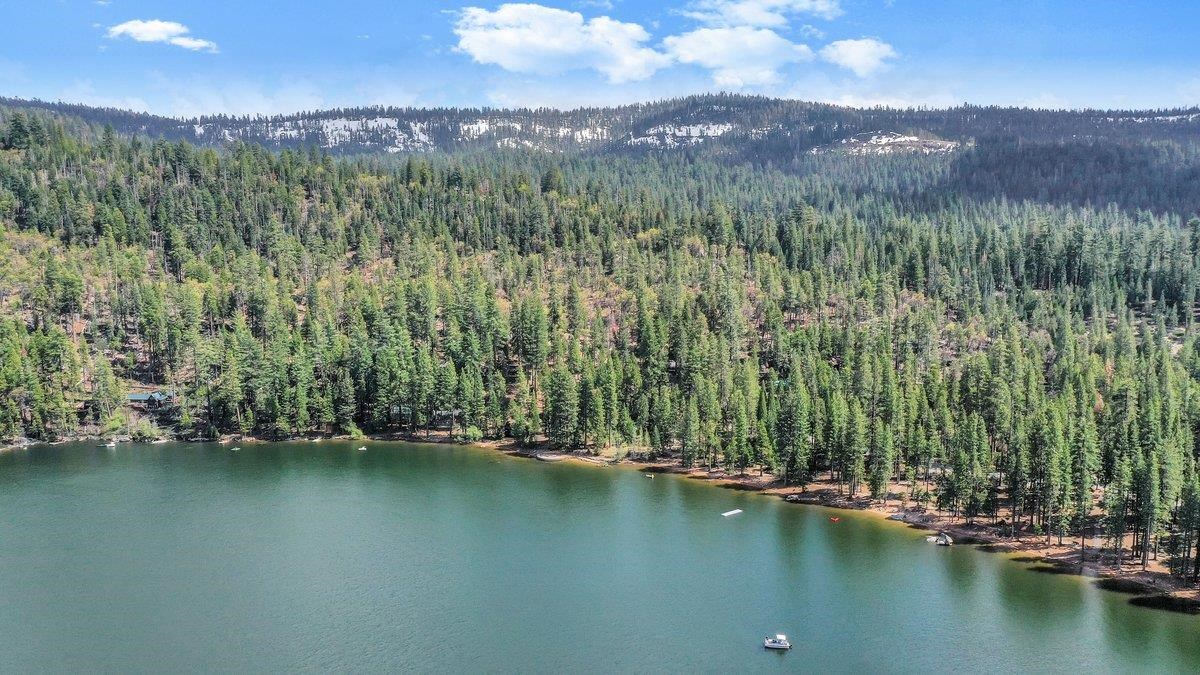 Detail Gallery Image 33 of 35 For 226 Sugar Pine, Pinecrest,  CA 95364 - 3 Beds | 1/1 Baths