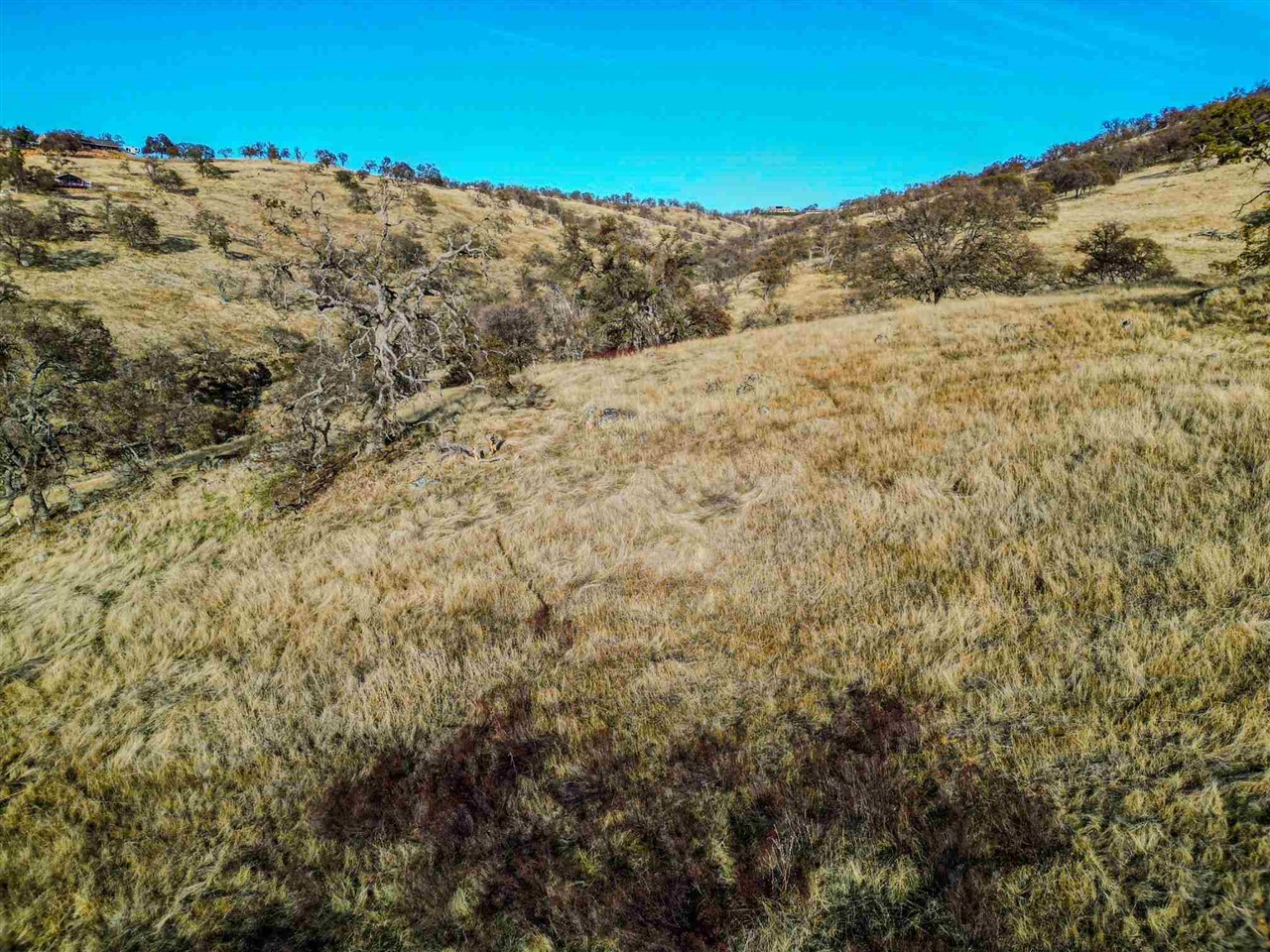 Detail Gallery Image 14 of 20 For 9372 Luna, La Grange,  CA 95329 - – Beds | – Baths