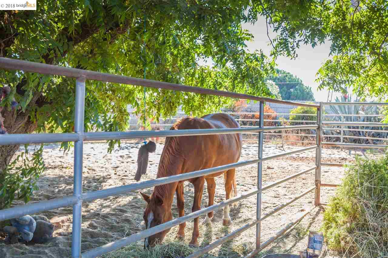 1964 Hamburg St Oakley Ca 94561 3 Beds 1 1 Baths Sold