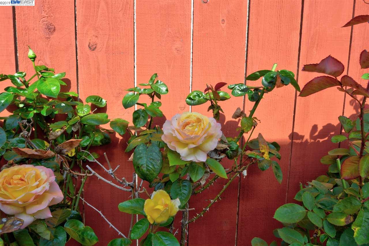 990 Castle St San Leandro Ca 94578 Greg Novak