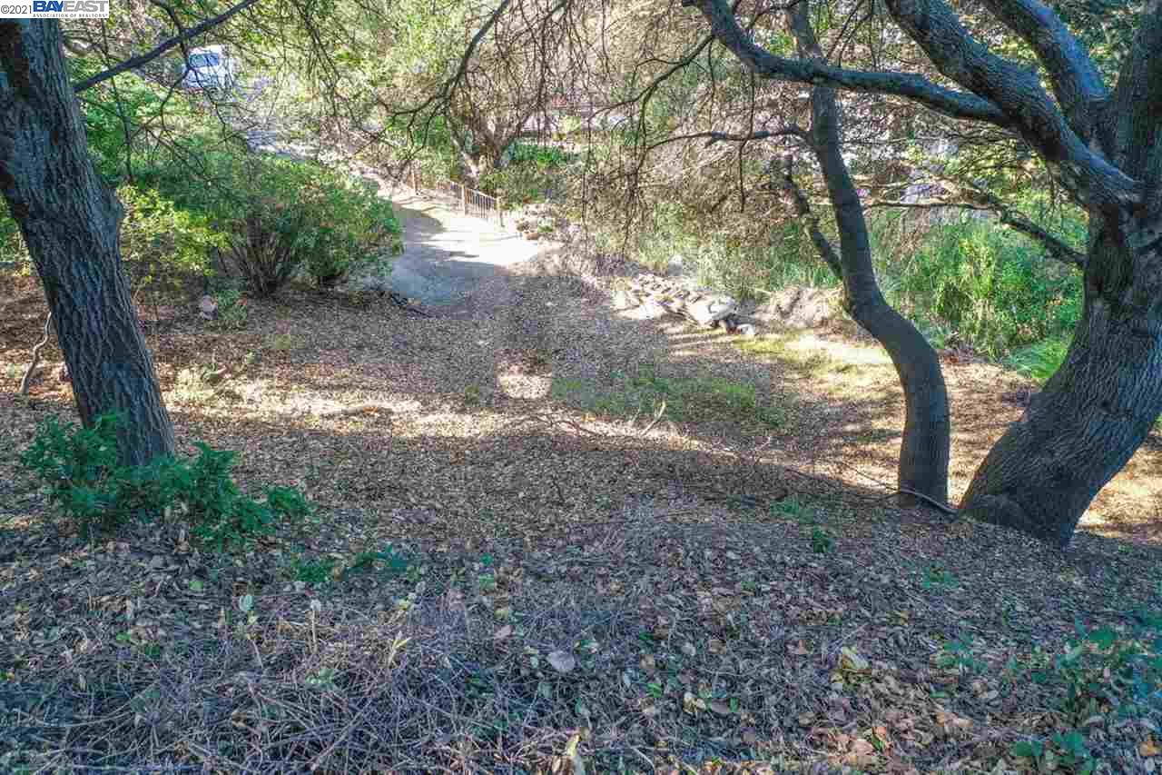 Detail Gallery Image 1 of 1 For 20 Lucille Way, Orinda,  CA 94563 - – Beds | – Baths