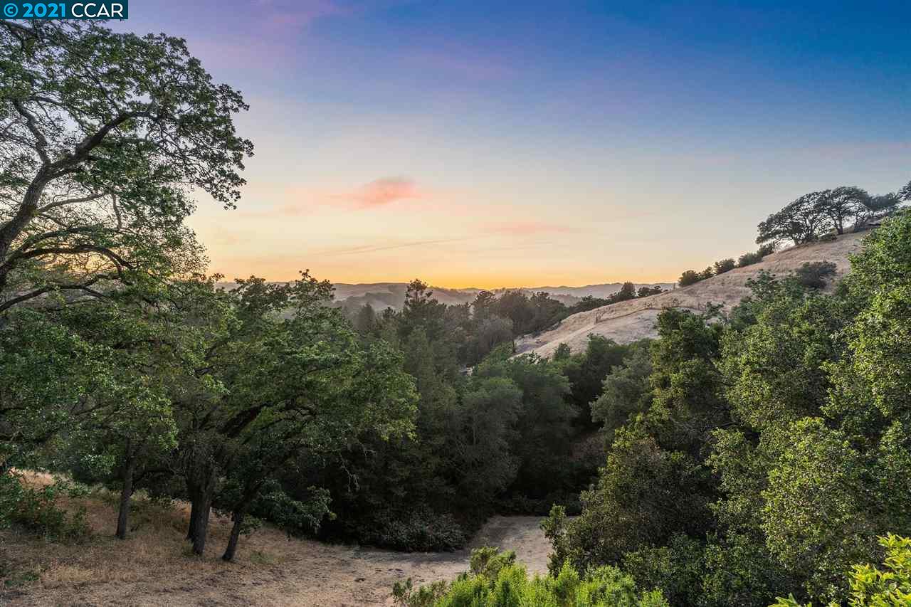 3 Lucas Ct Lafayette CA 94549 4 Beds 3/1 Baths (Sold