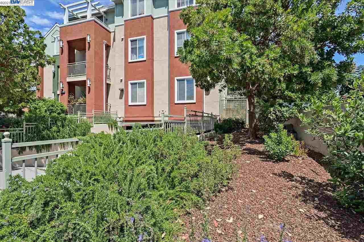Detail Gallery Image 1 of 1 For 2330 University Ave #240,  East Palo Alto,  CA 94303 - 1 Beds | 1 Baths