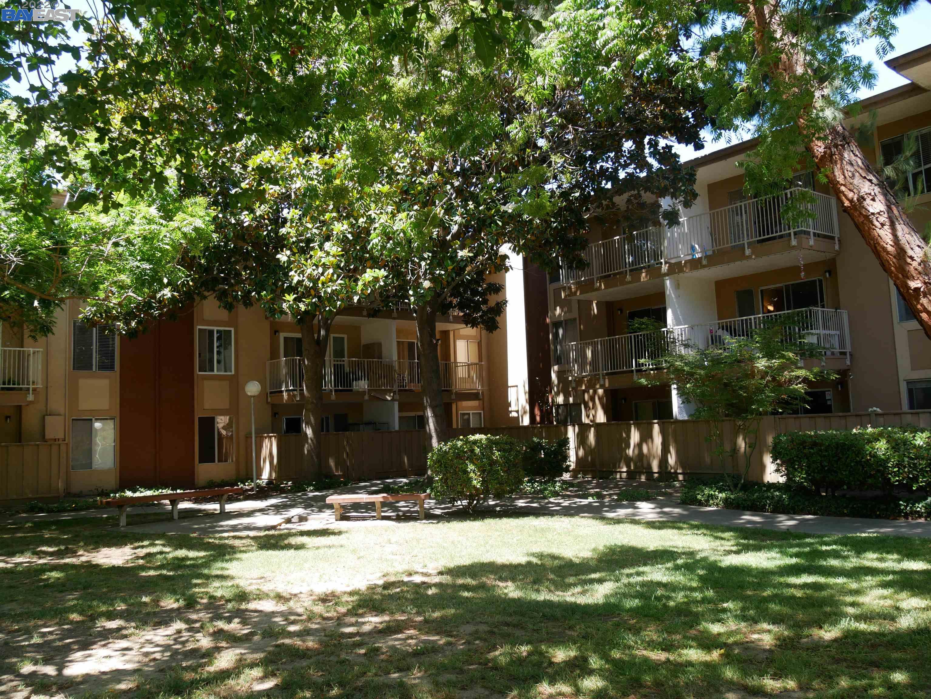 Detail Gallery Image 1 of 1 For 38500 Paseo Padre Pkwy #302,  Fremont,  CA 94536 - 2 Beds | 1/1 Baths