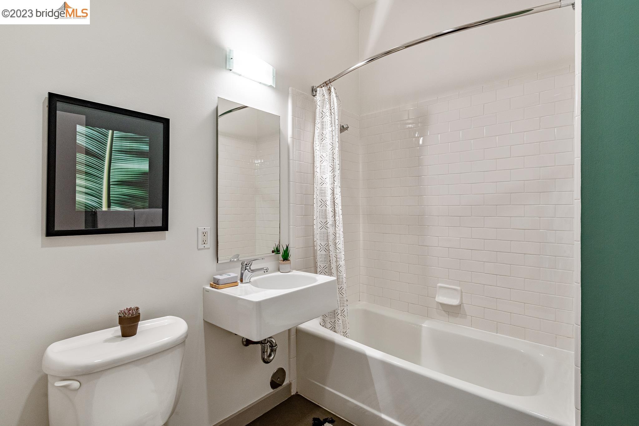 Photo #6: 41016997 Listing 