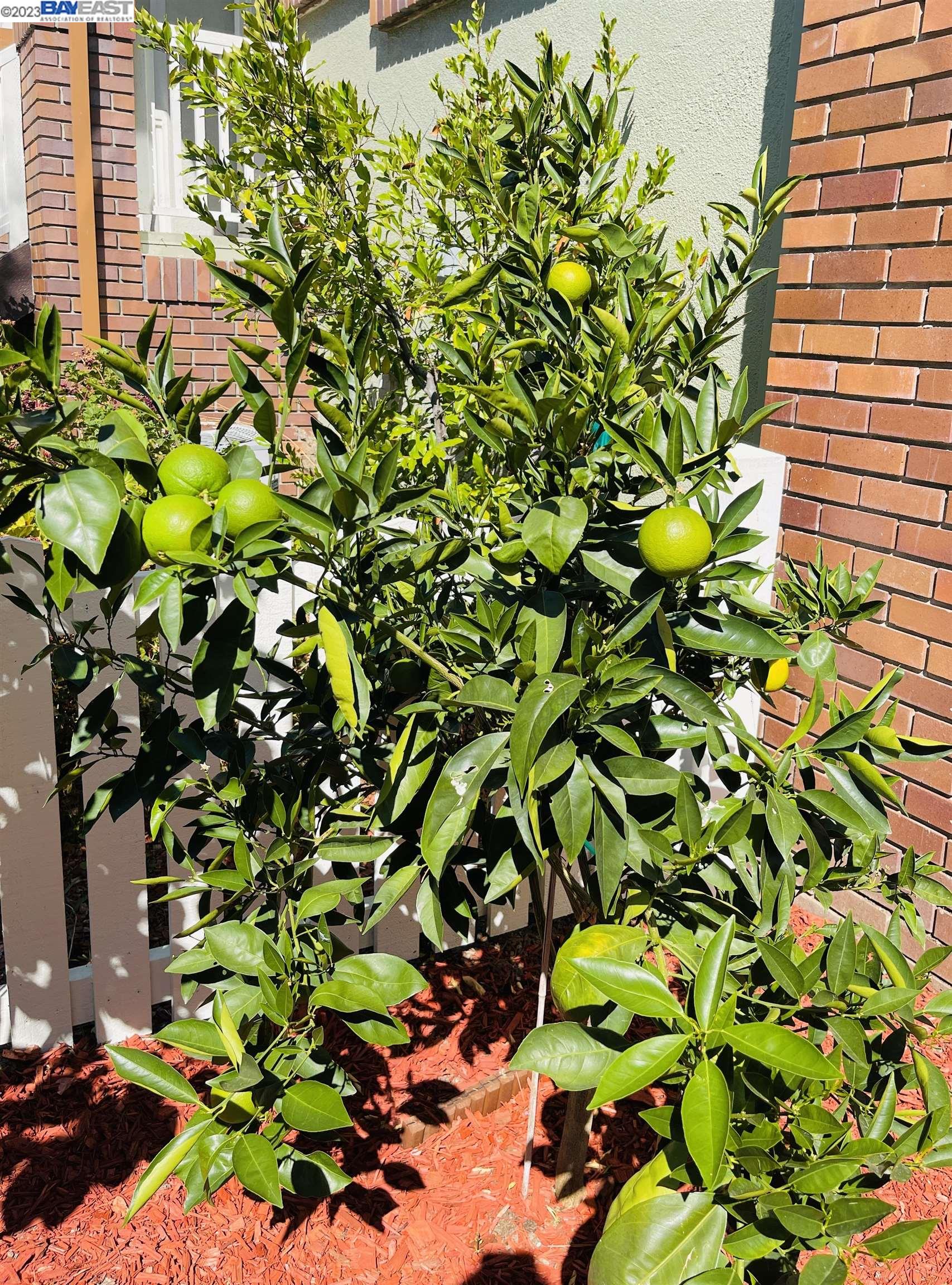 Photo #6: 41017016 Listing 