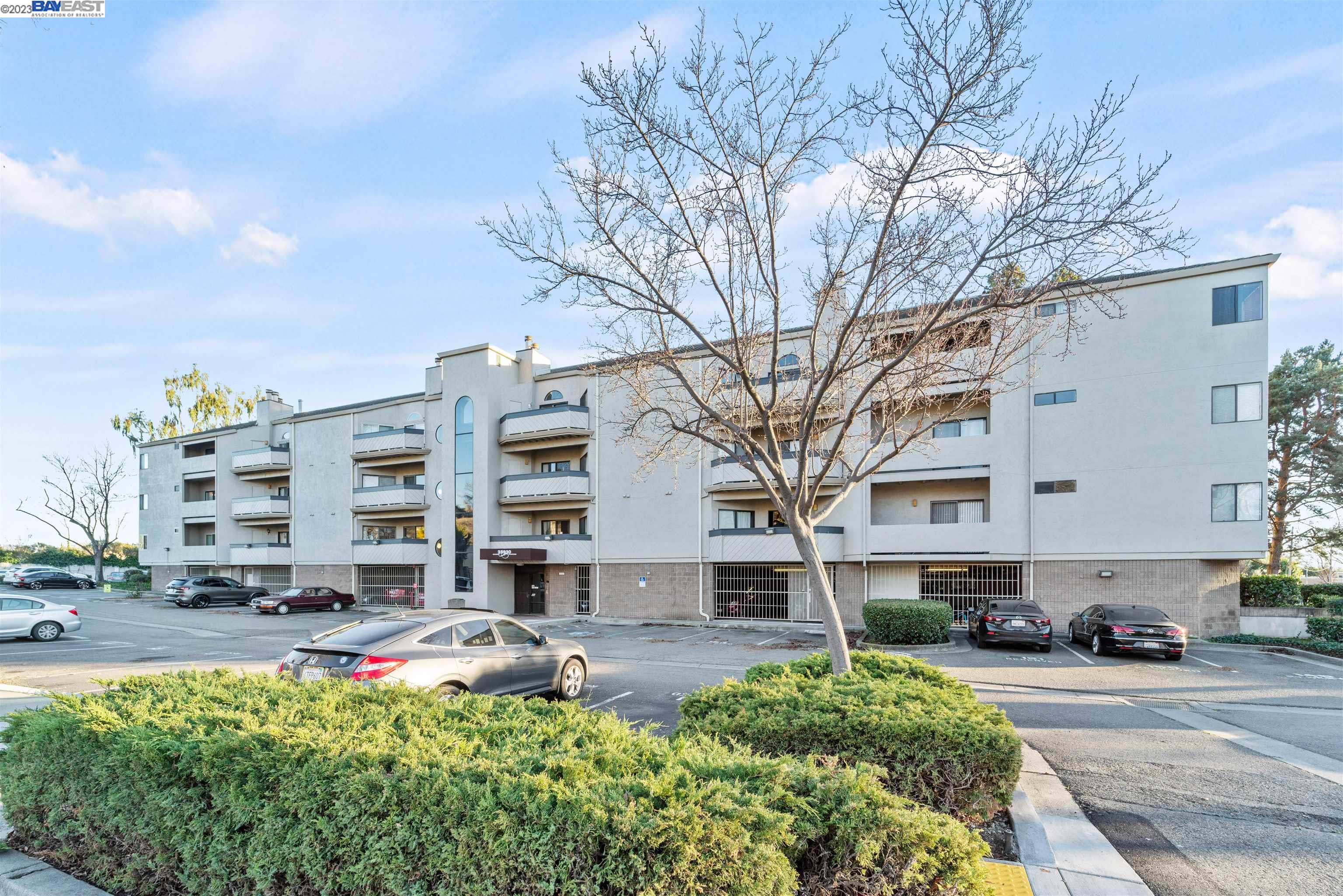 Photo #2: 41018185 Listing 