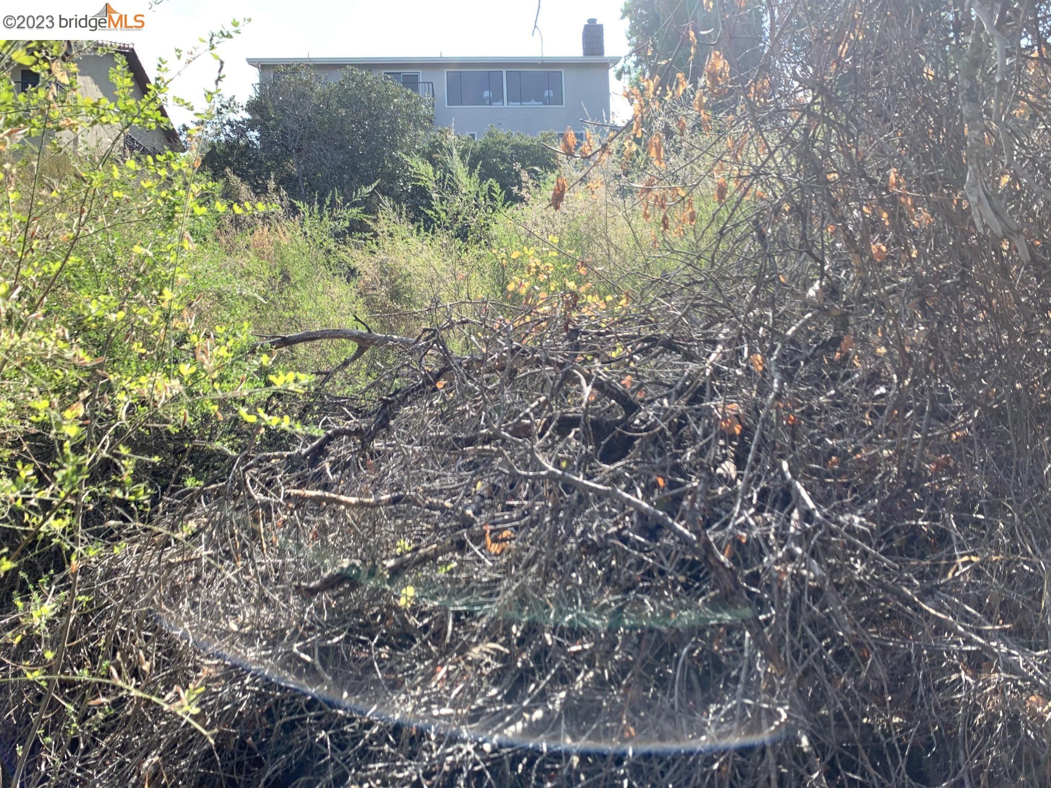 Detail Gallery Image 12 of 36 For 000 Cranfield Avenue, San Carlos,  CA 94070 - – Beds | – Baths