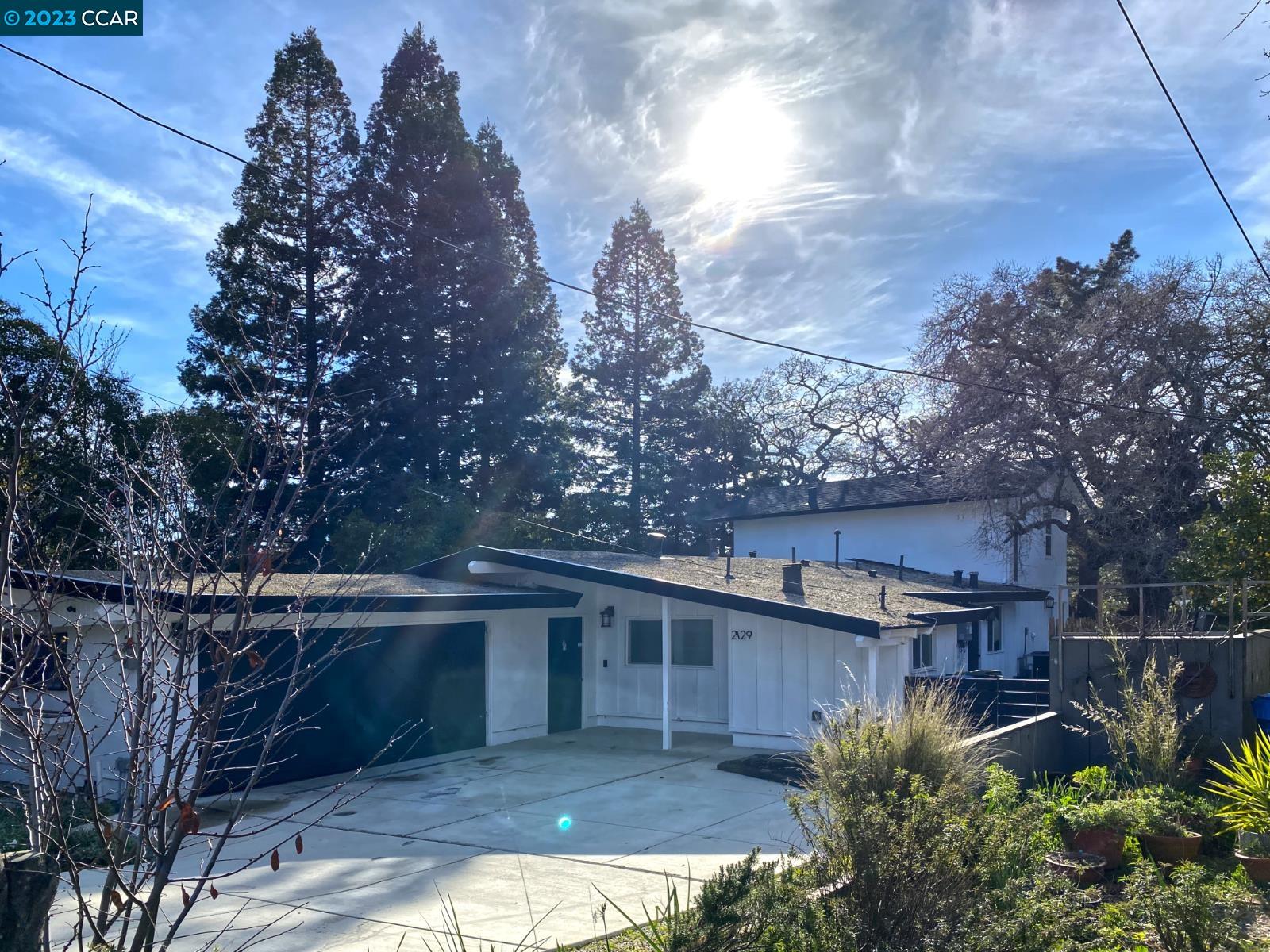 Detail Gallery Image 1 of 1 For 2129 Magnolia Way, Walnut Creek,  CA 94595 - 3 Beds | 3/1 Baths