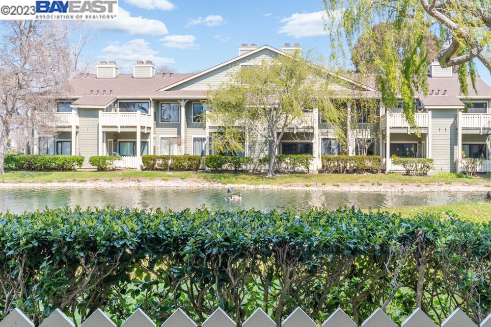 Photo #3: 41023058 Listing 