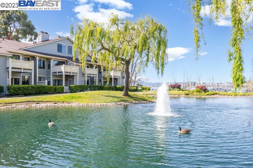 Photo #4: 41023058 Listing 