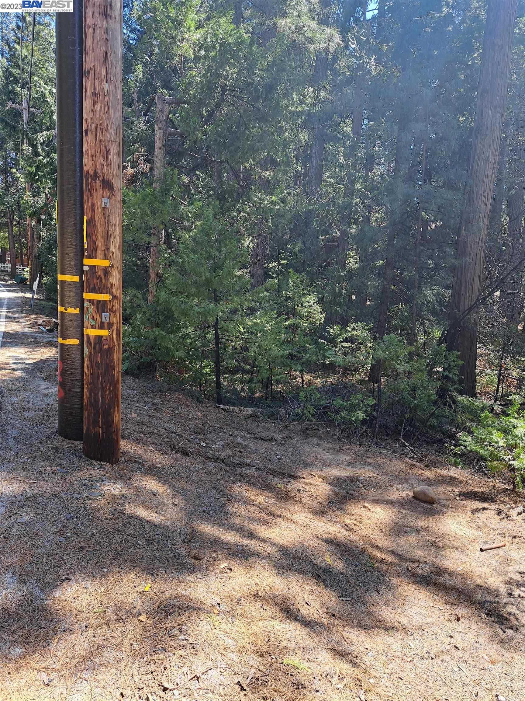 Detail Gallery Image 12 of 20 For Sly Park, Pollock Pines,  CA 95726 - – Beds | – Baths