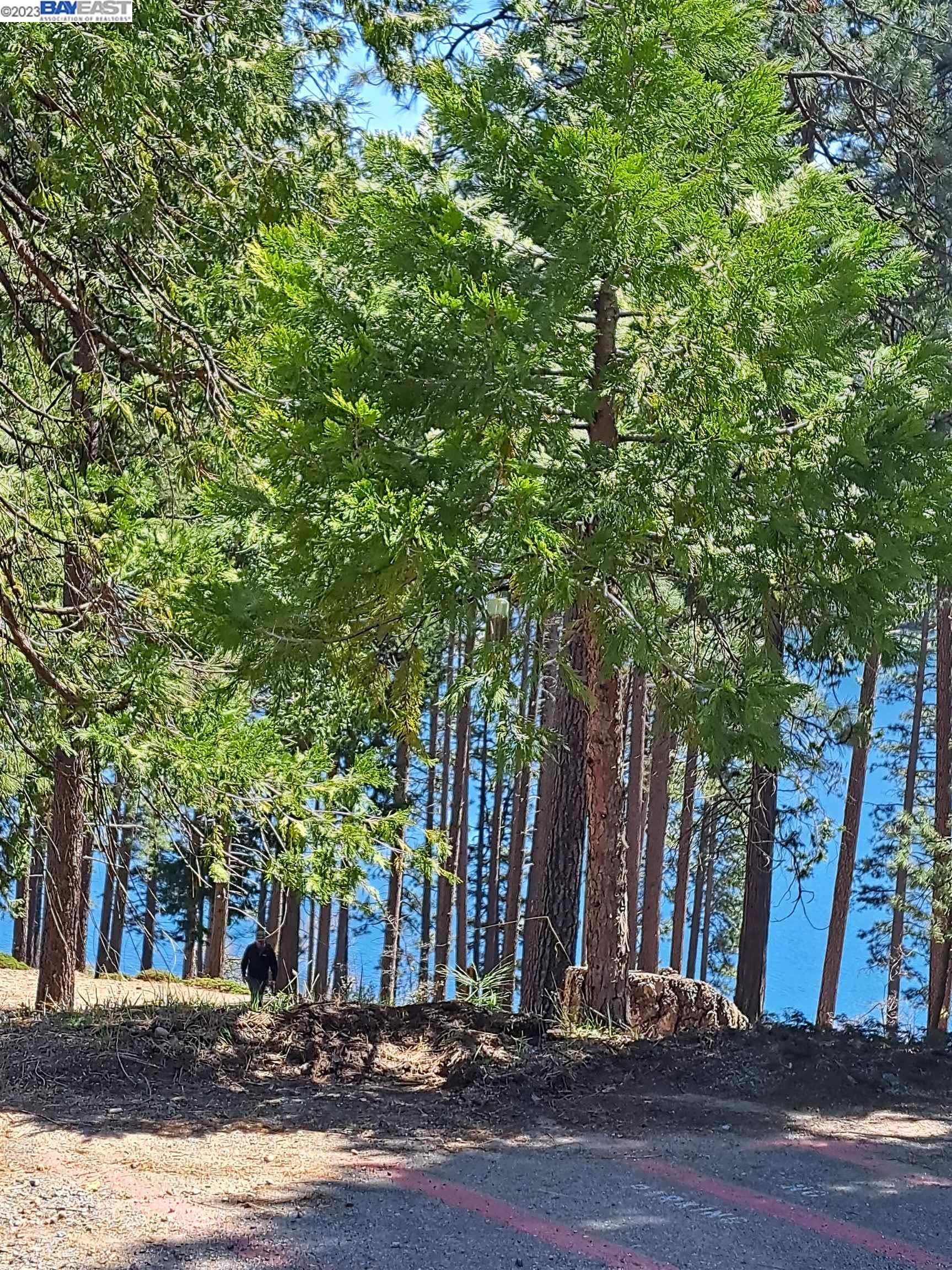 Detail Gallery Image 15 of 20 For Sly Park, Pollock Pines,  CA 95726 - – Beds | – Baths