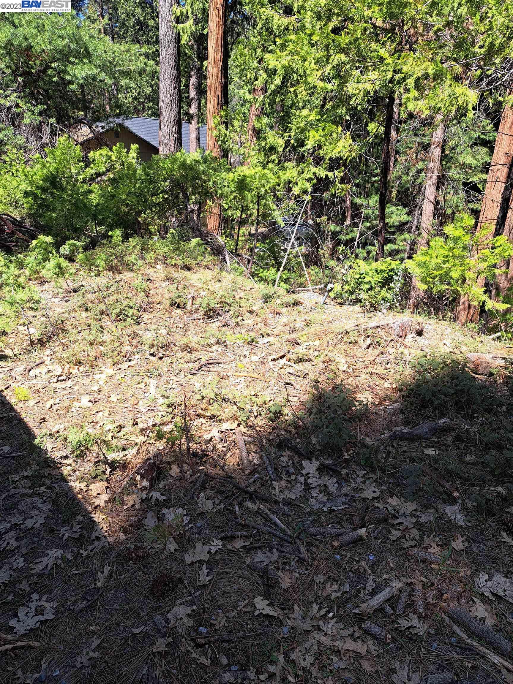 Detail Gallery Image 5 of 20 For Sly Park, Pollock Pines,  CA 95726 - – Beds | – Baths