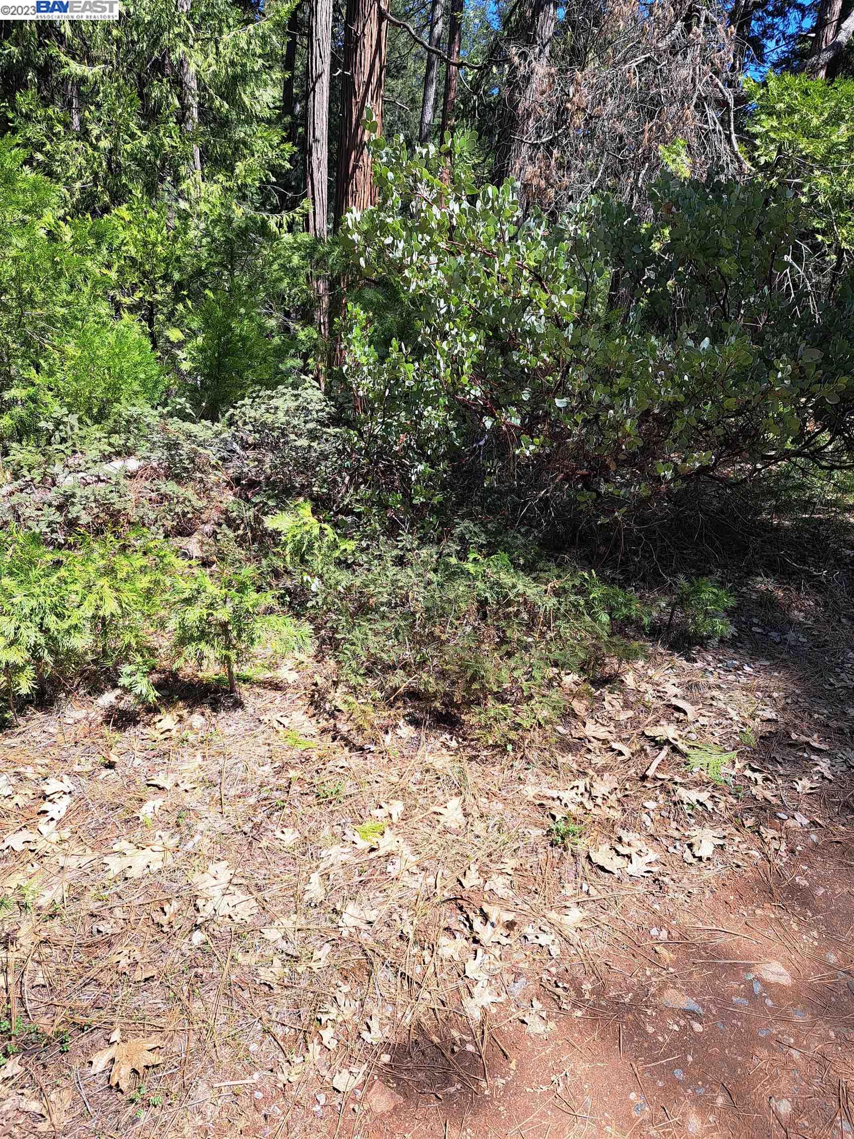 Detail Gallery Image 6 of 20 For Sly Park, Pollock Pines,  CA 95726 - – Beds | – Baths