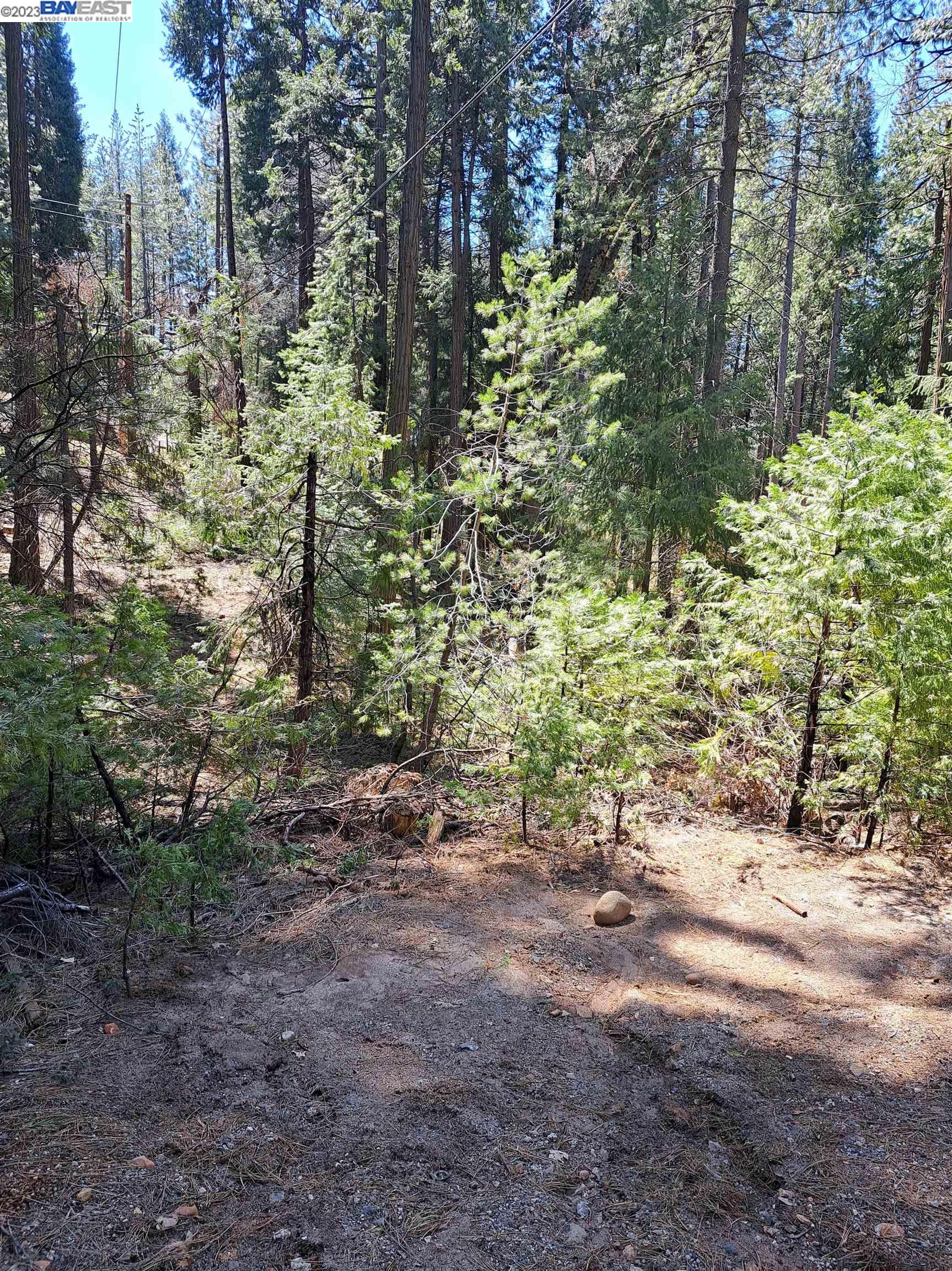 Detail Gallery Image 10 of 20 For Sly Park, Pollock Pines,  CA 95726 - – Beds | – Baths