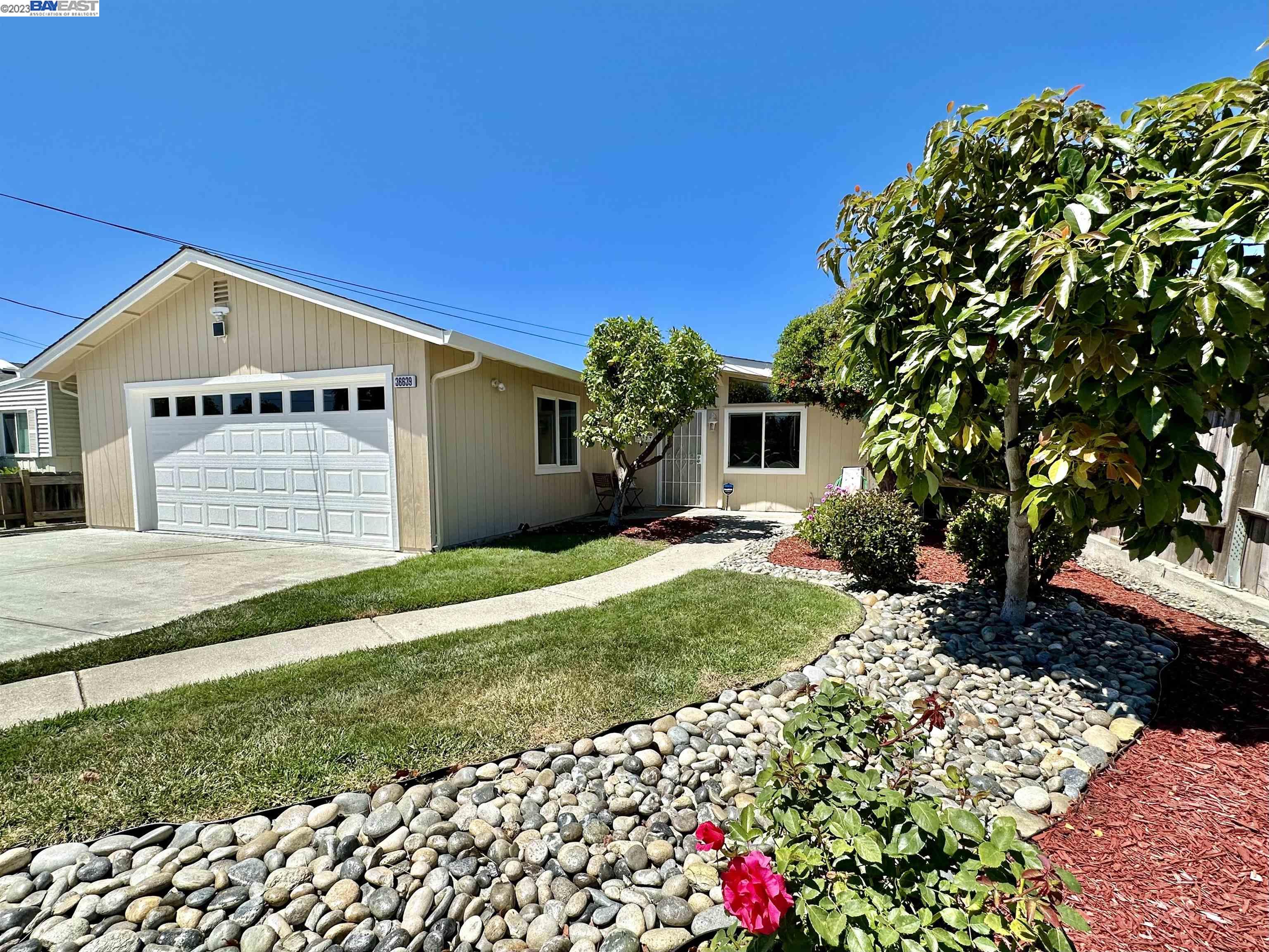 Detail Gallery Image 1 of 1 For 36639 Sycamore St, Newark,  CA 94560 - 3 Beds | 2 Baths
