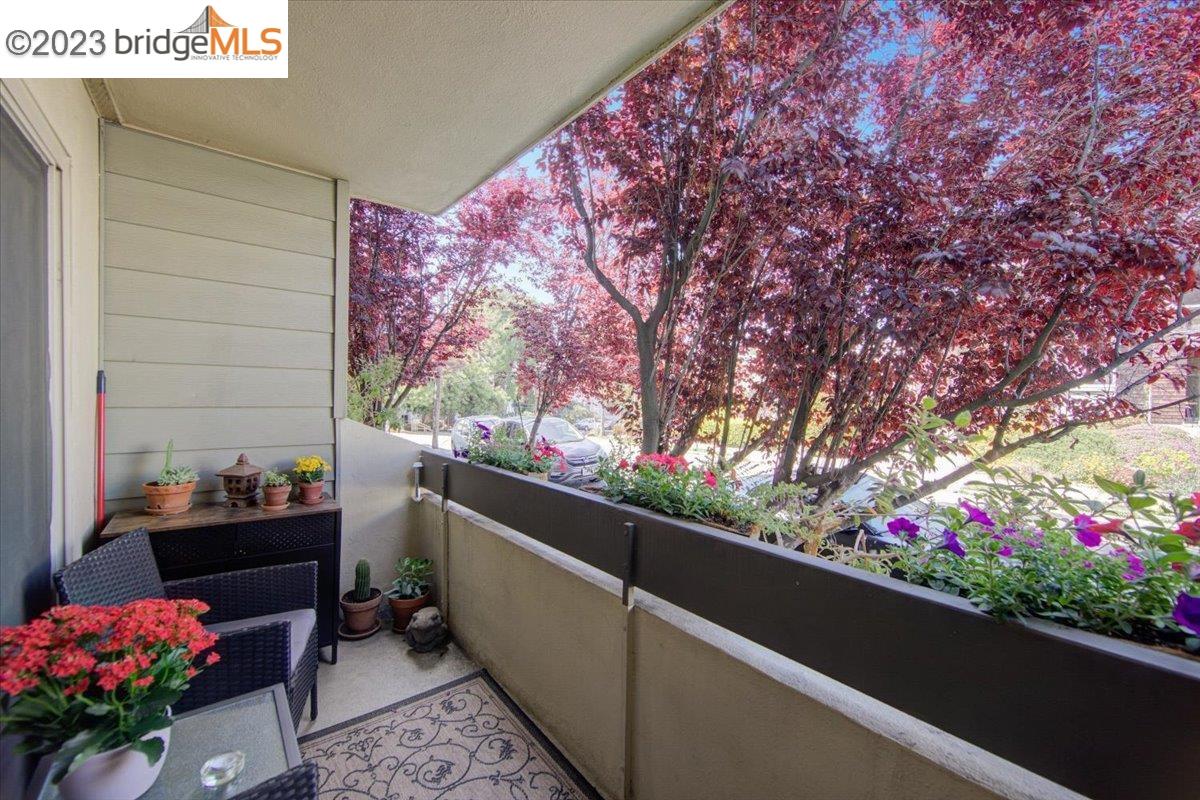 Photo #18: 41029523 Listing: Photo #18