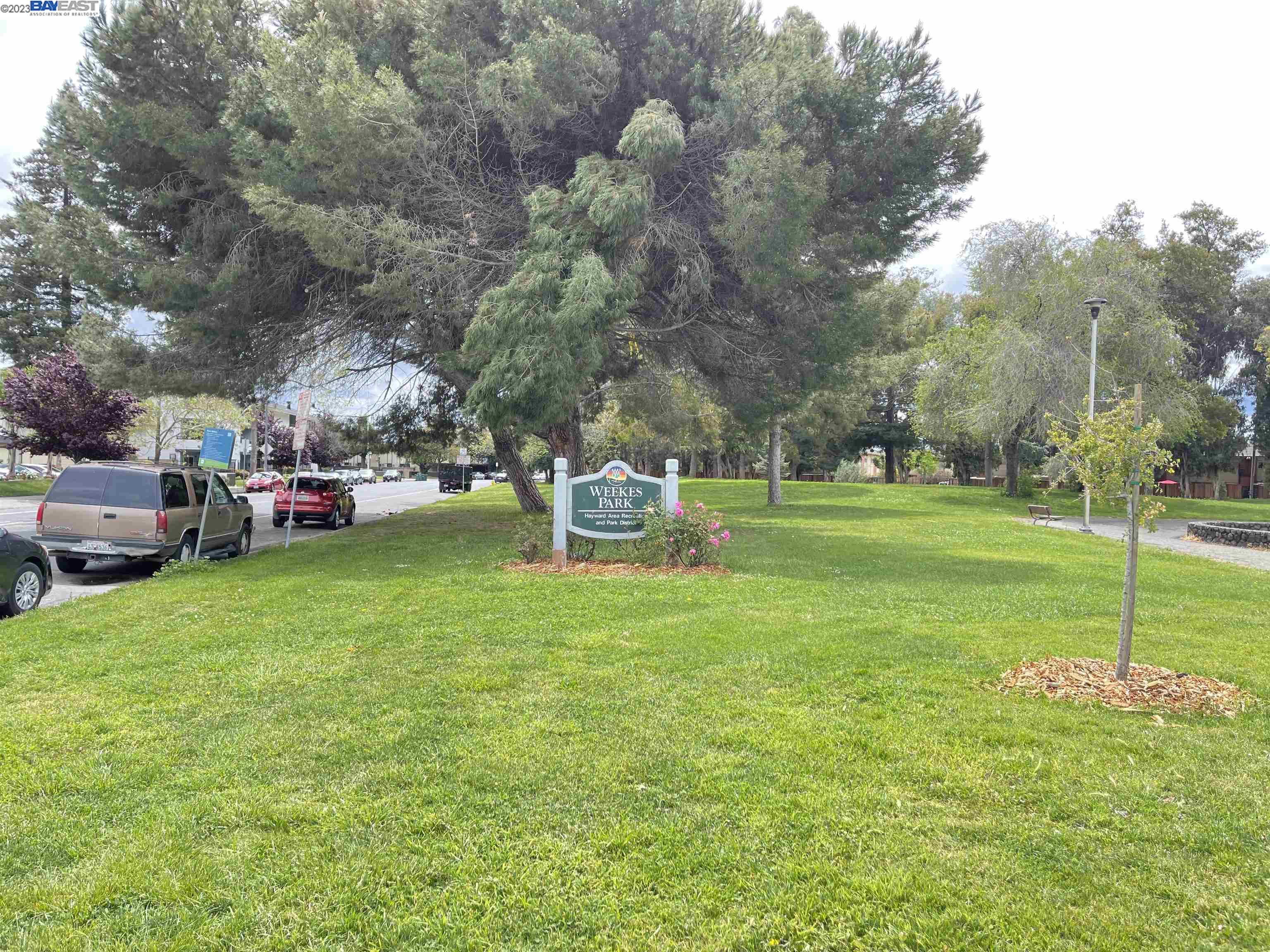 Photo #4: 41030954 Listing 