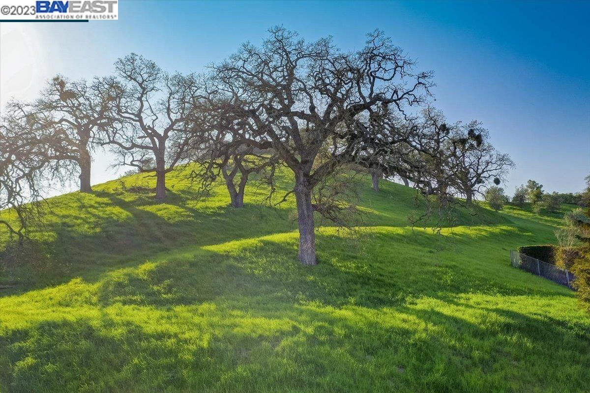 Detail Gallery Image 1 of 1 For 481 El Alamo, Danville,  CA 94526 - – Beds | – Baths