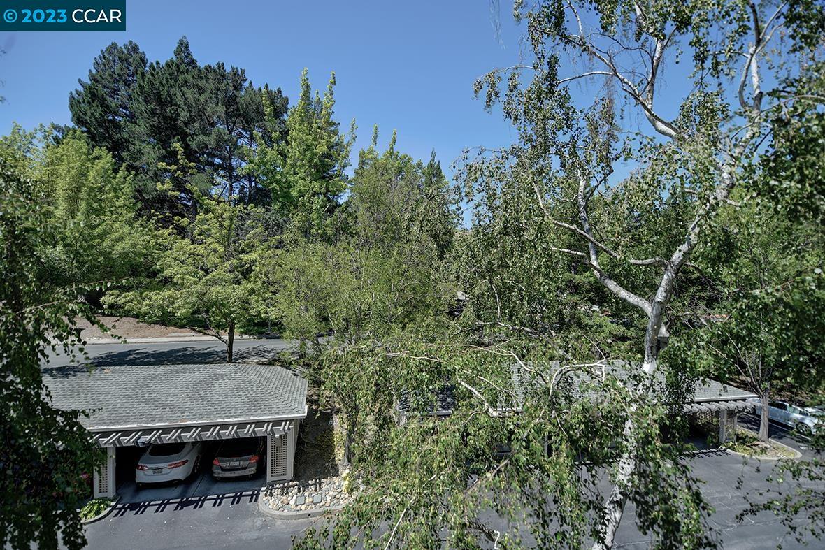 Photo #5: 41034591 Listing 