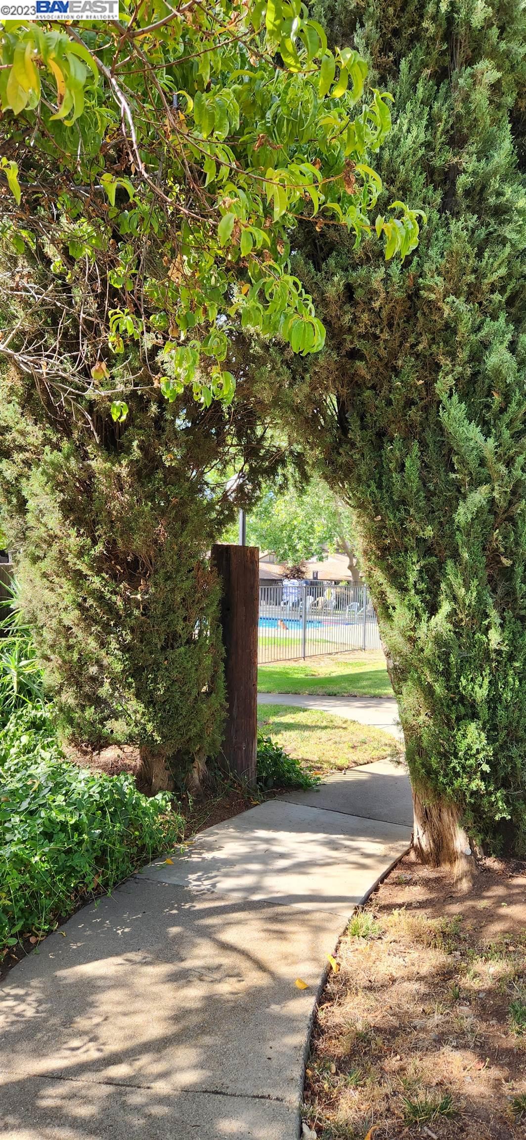 Photo #17: 41035364 Listing: Photo #17