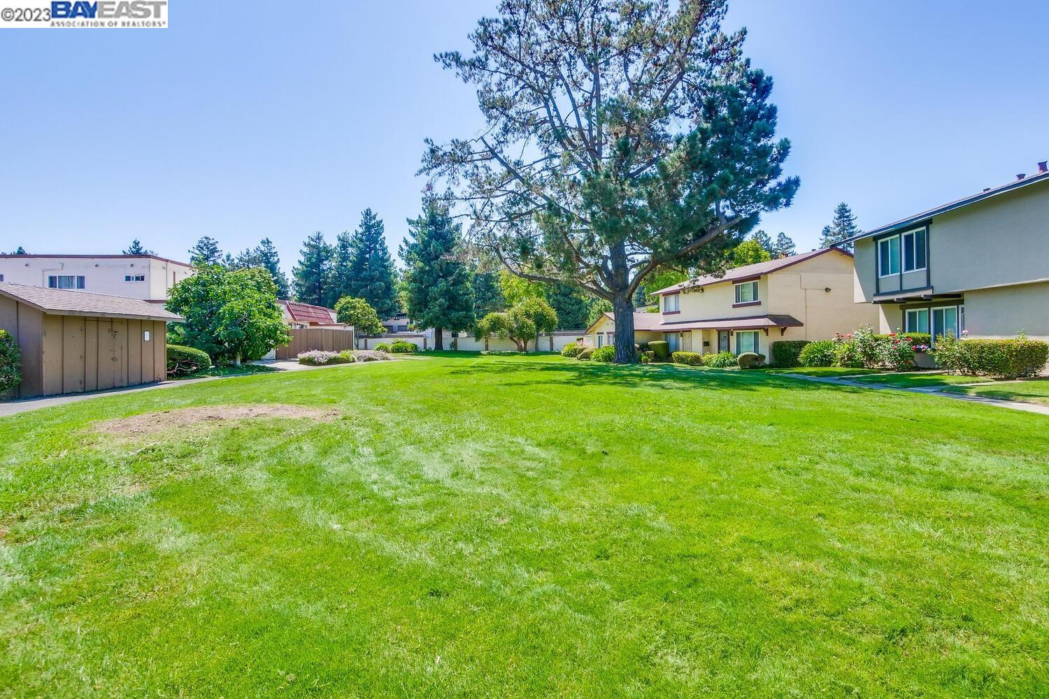 Photo #54: 41037647 Listing: Photo #54