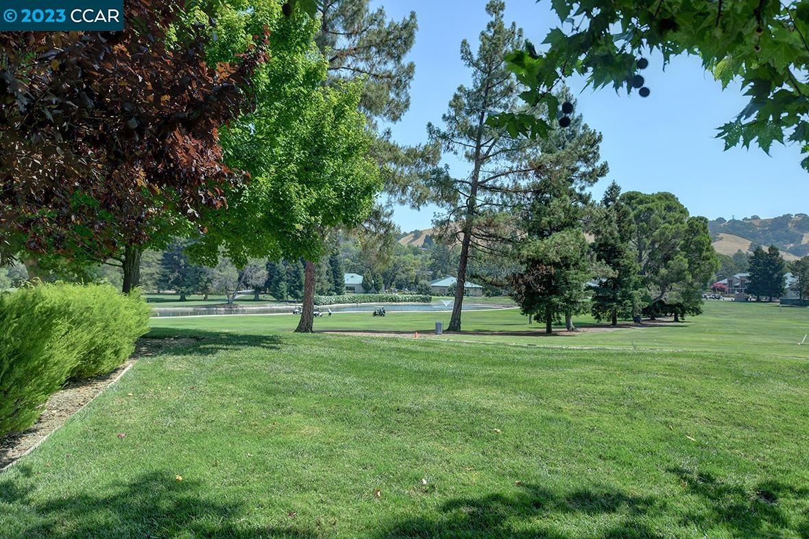 Photo #2: 41037814 Listing 