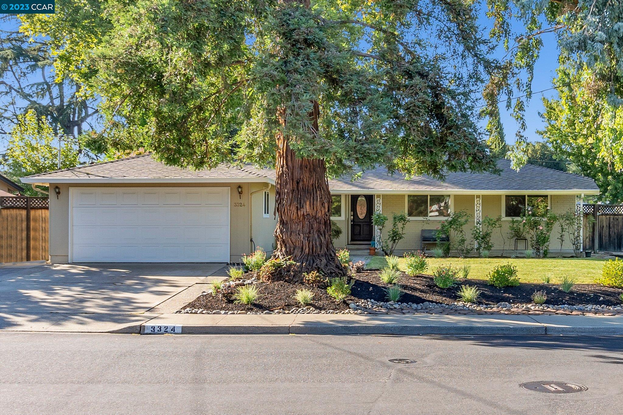 Detail Gallery Image 1 of 1 For 3324 Citrus Ave, Walnut Creek,  CA 94598 - 4 Beds | 2/1 Baths