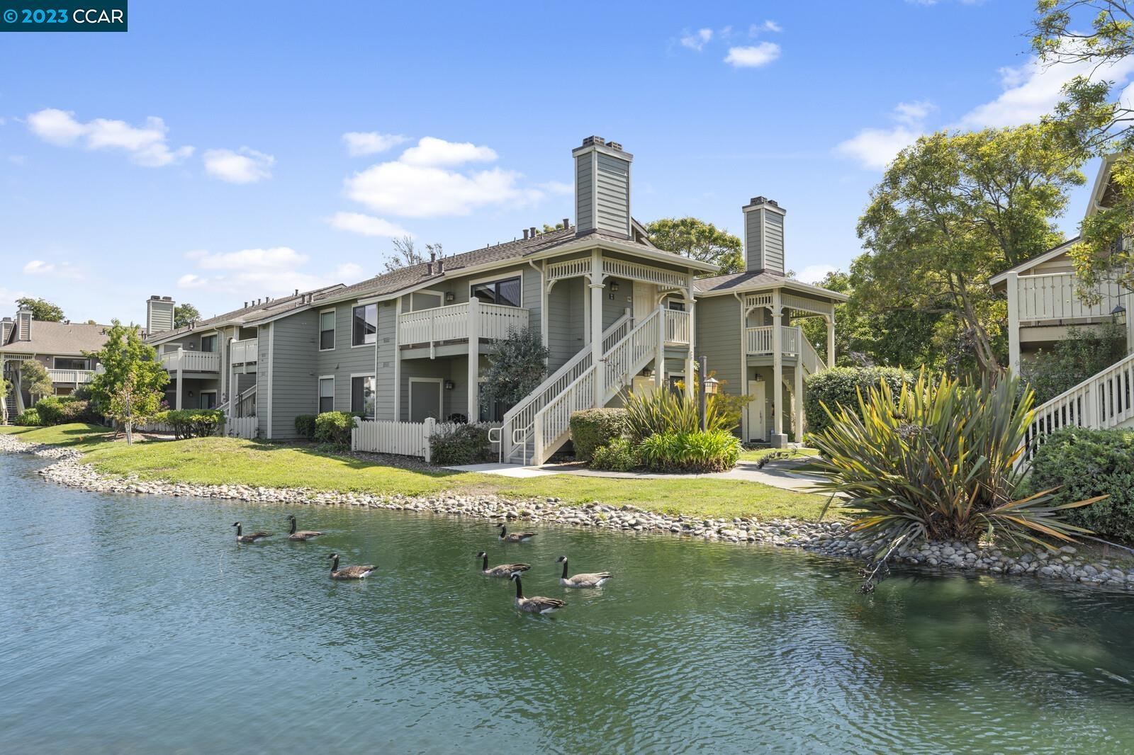 Front Image Thumbnail for CC41039365