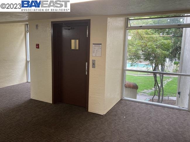 Photo #37: 41039444 Listing: Photo #37