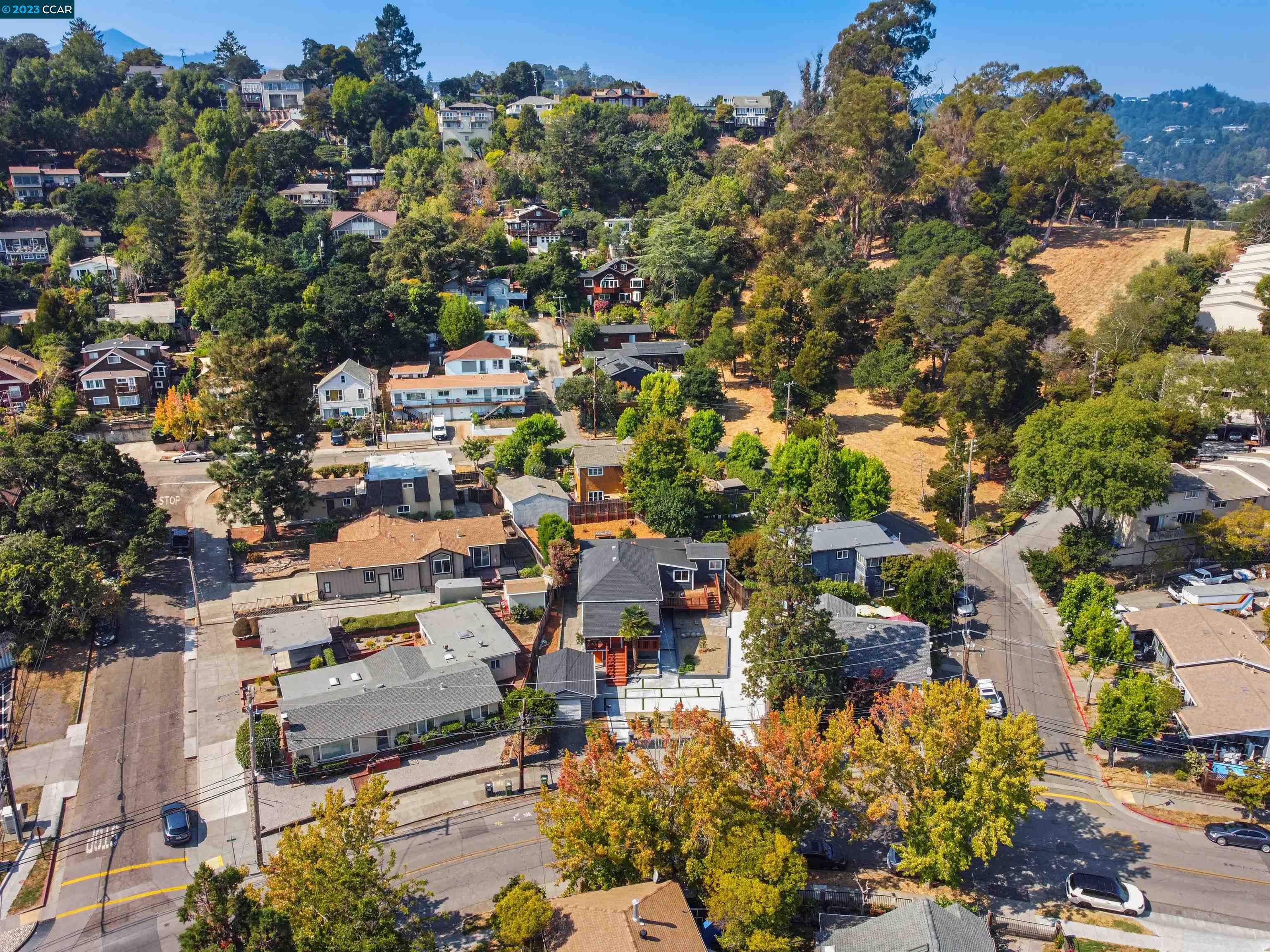 Detail Gallery Image 43 of 53 For 265 Woodland Ave, San Rafael,  CA 94901 - – Beds | – Baths