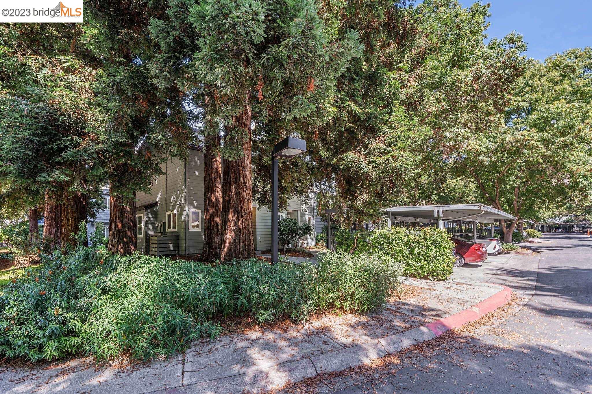 Photo #2: 41040339 Listing 