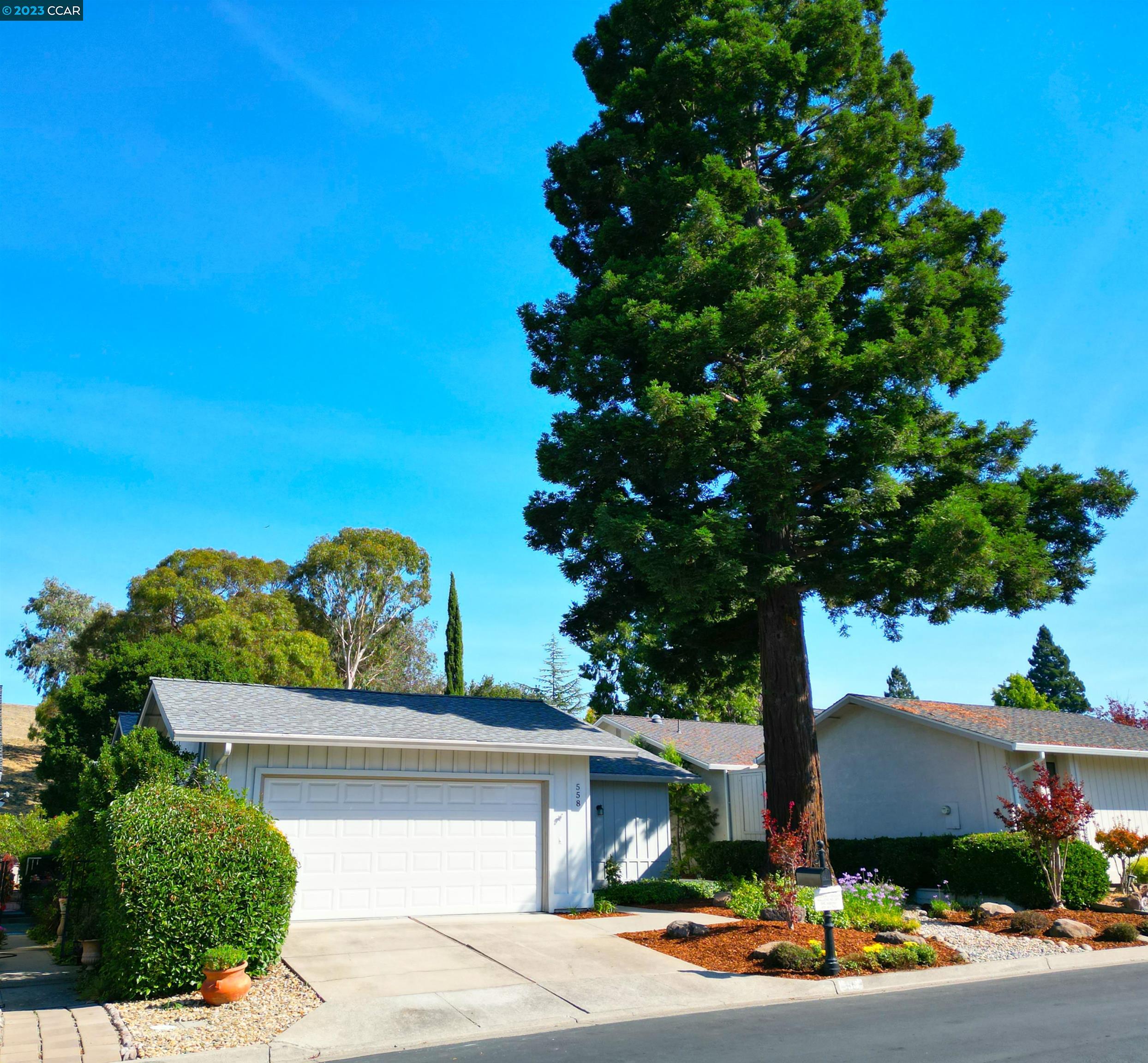 Detail Gallery Image 1 of 1 For 558 Saint George Rd, Danville,  CA 94526 - 3 Beds | 2 Baths