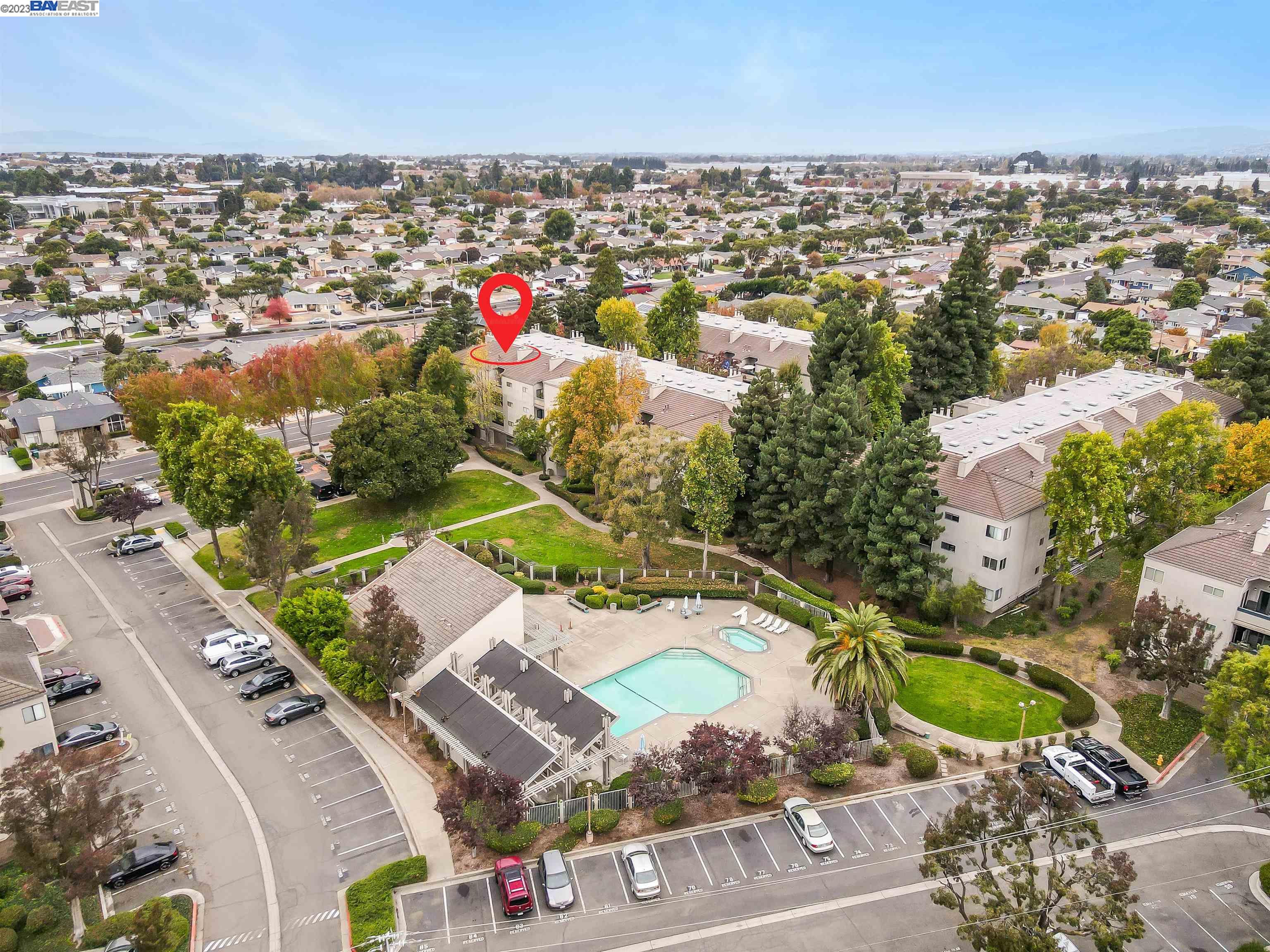 Photo #6: 41044594 Listing 