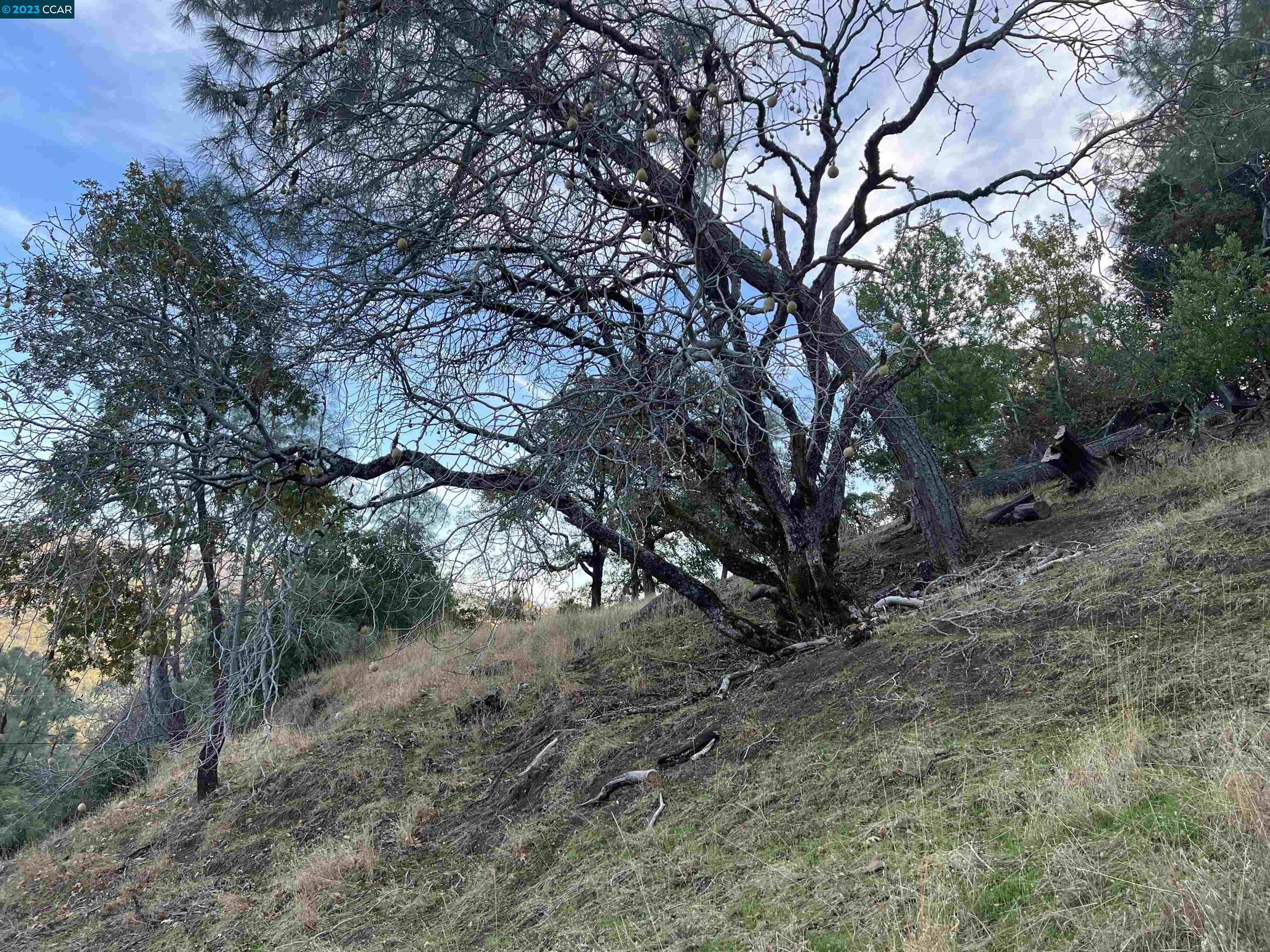 Detail Gallery Image 2 of 5 For 196 Country Club Lane, Napa,  CA 94558 - – Beds | – Baths