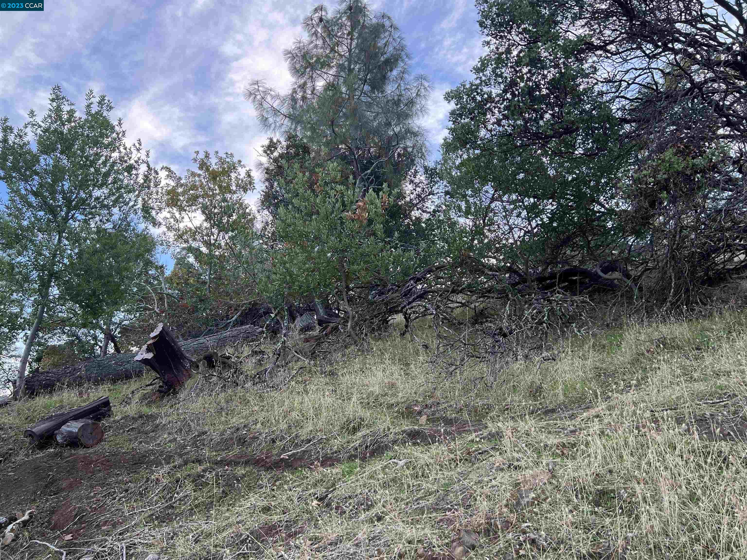 Detail Gallery Image 4 of 5 For 196 Country Club Lane, Napa,  CA 94558 - – Beds | – Baths