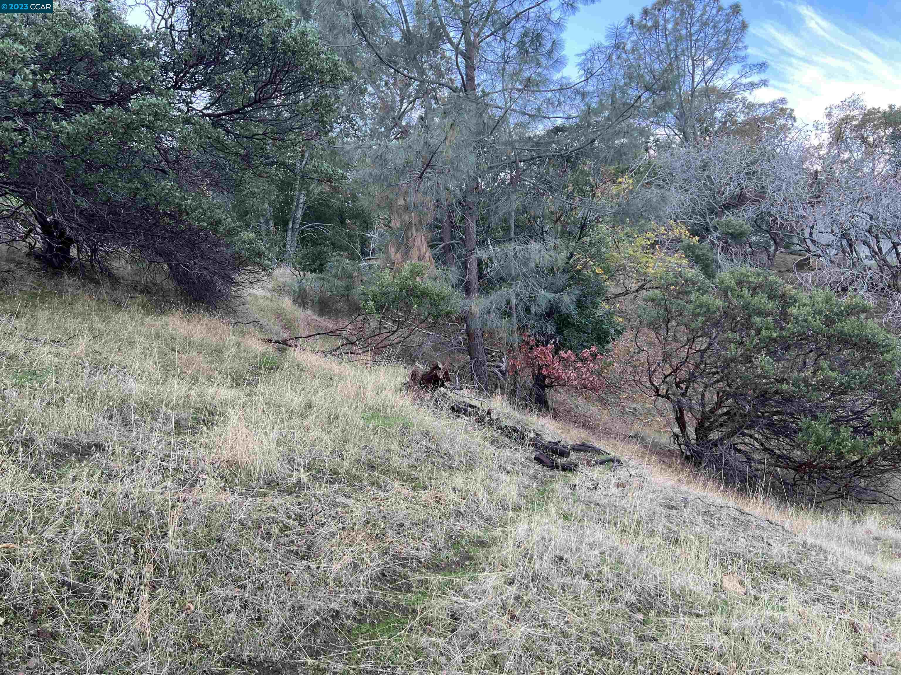 Detail Gallery Image 5 of 5 For 196 Country Club Lane, Napa,  CA 94558 - – Beds | – Baths